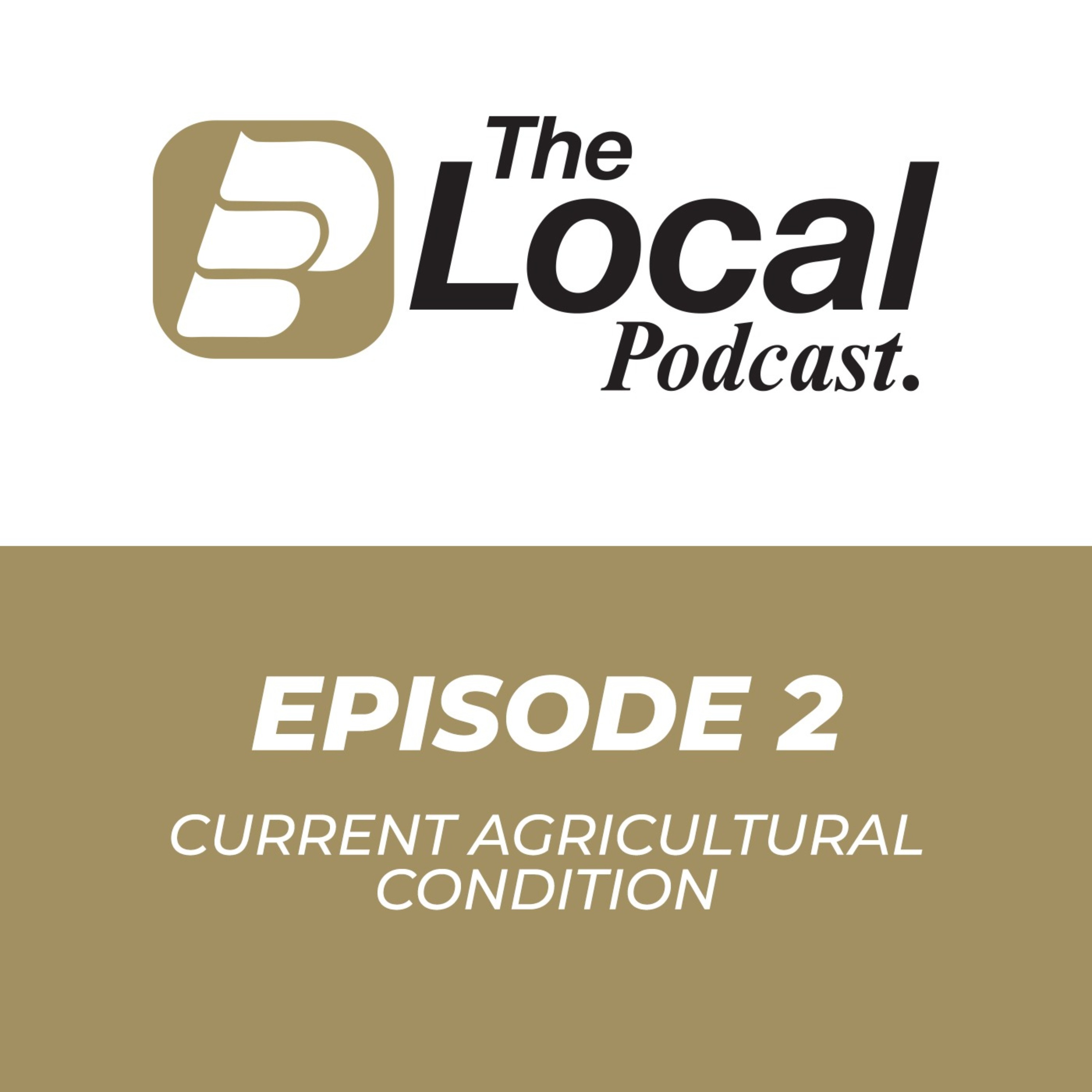 The Local Podcast