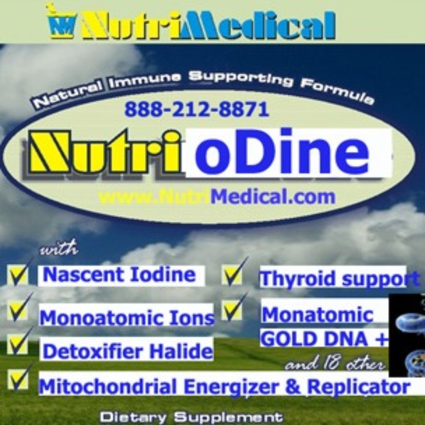 NutriMedical Report