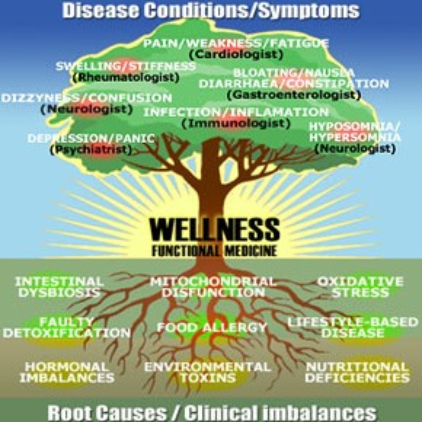 NutriMedical Report
