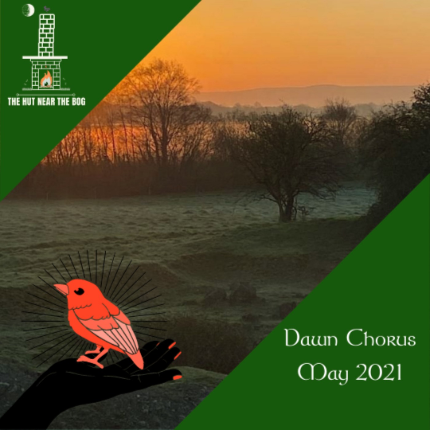 Dawn Chorus - 02 May 2021