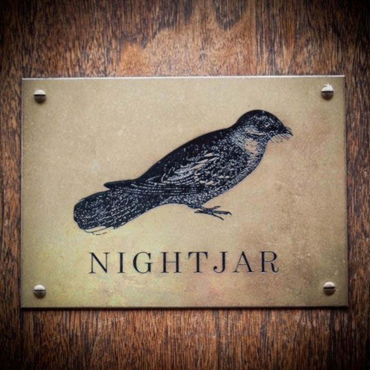 cover art for Nightjar: In conversation with founder Roisin Stimpson