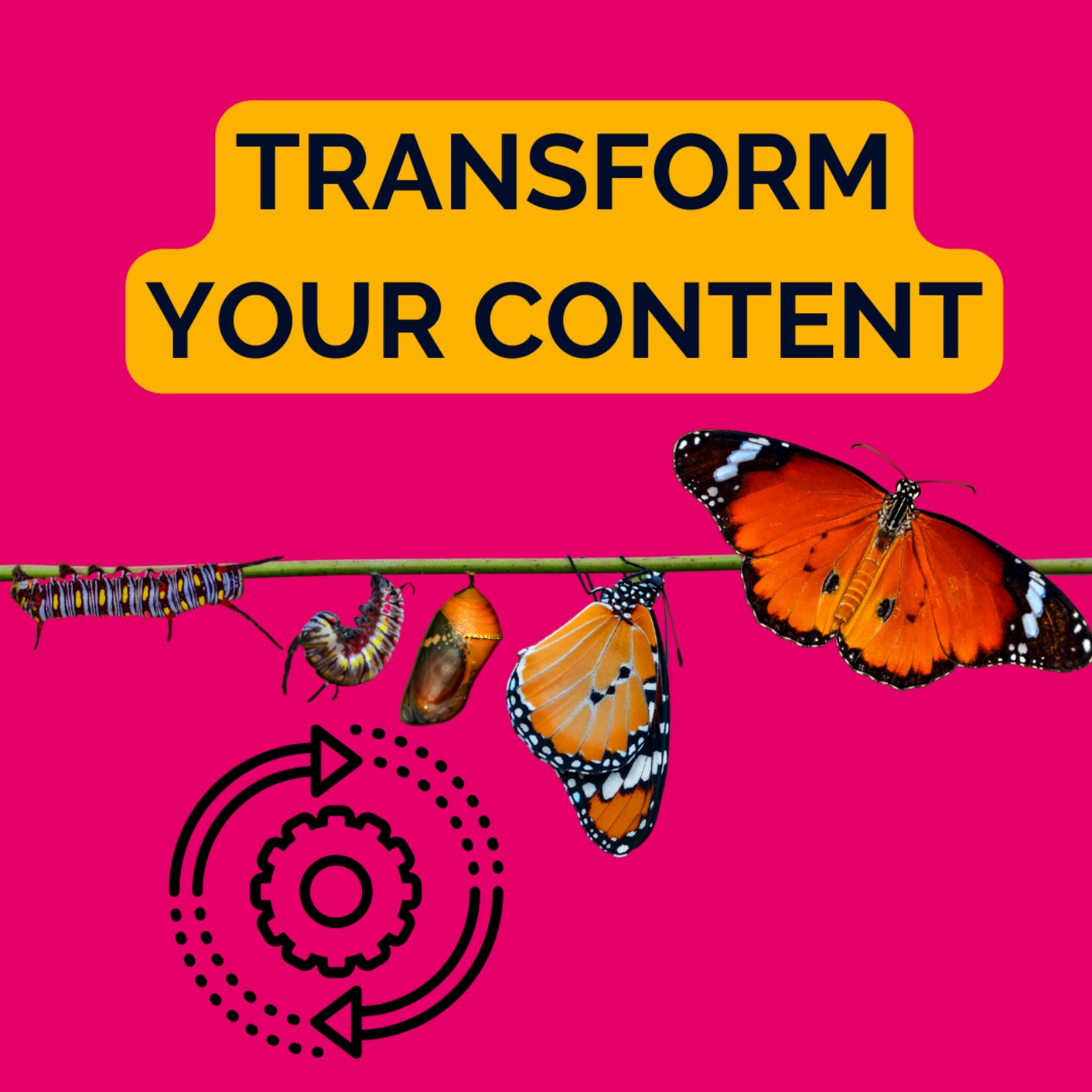 The Secret Sauce: Boosting Content with Trends and Tunes | Christopher Khoo