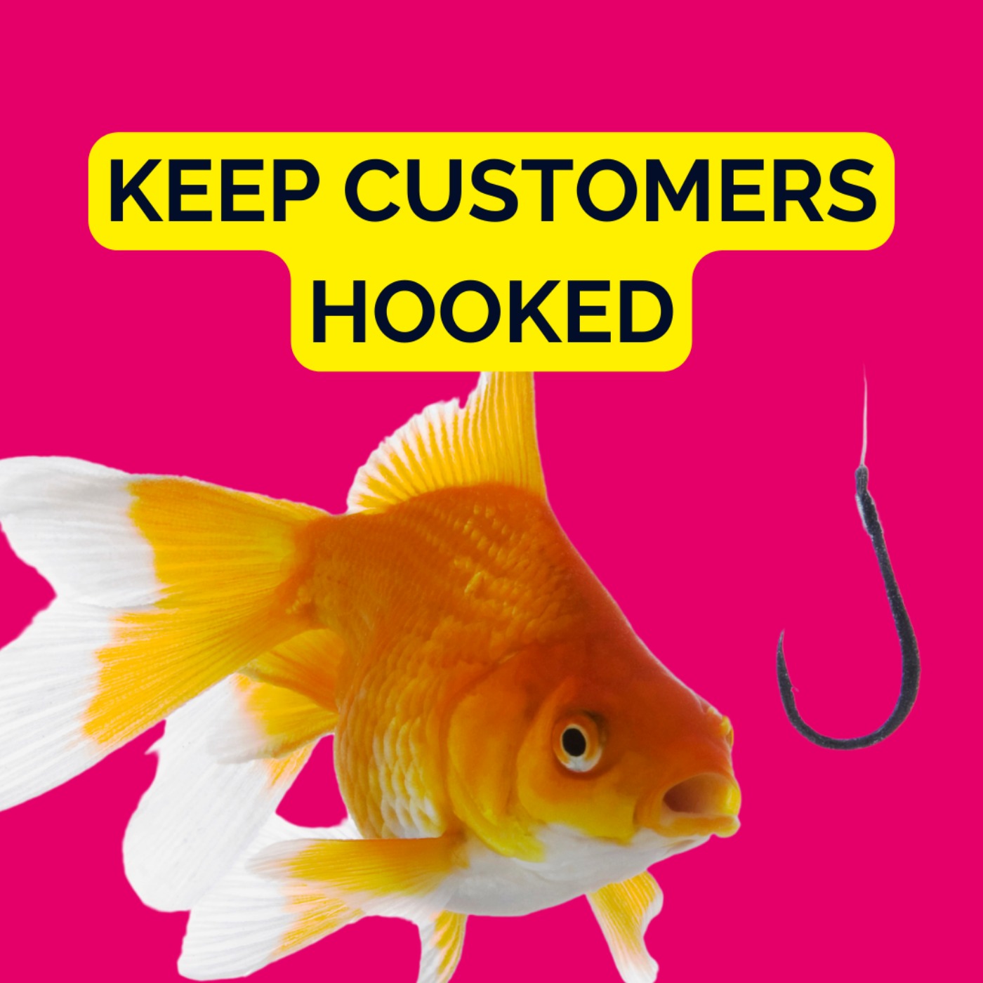 Data, Email, Content, and CRO: The Ultimate Retention Guide