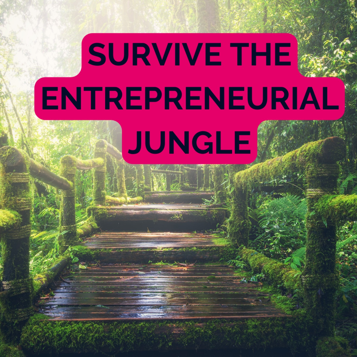 The Secret Sauce to Startup Success: Nathalie’s Unfiltered Advice