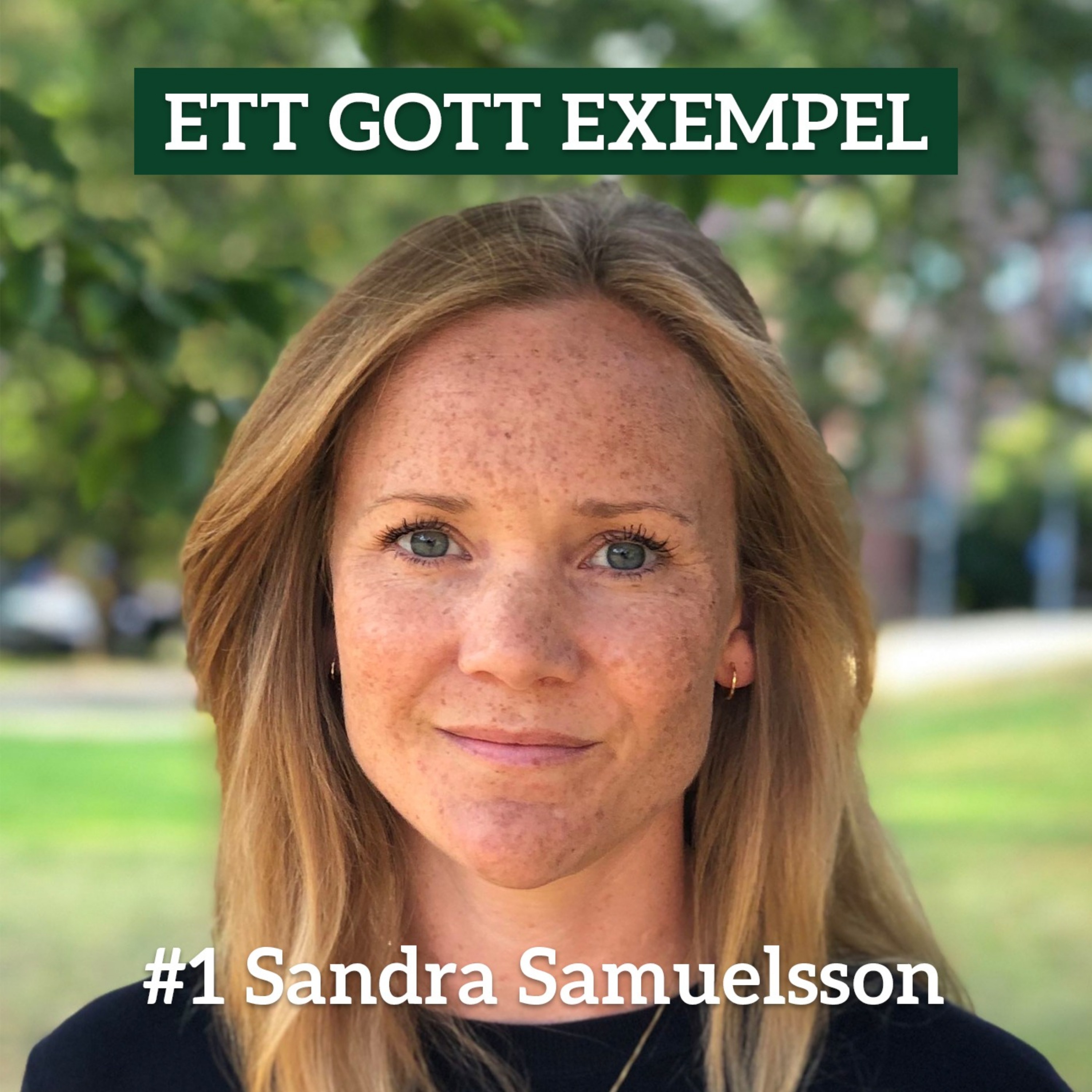 cover art for Sandra Samuelsson - Göteborgs Universitet 