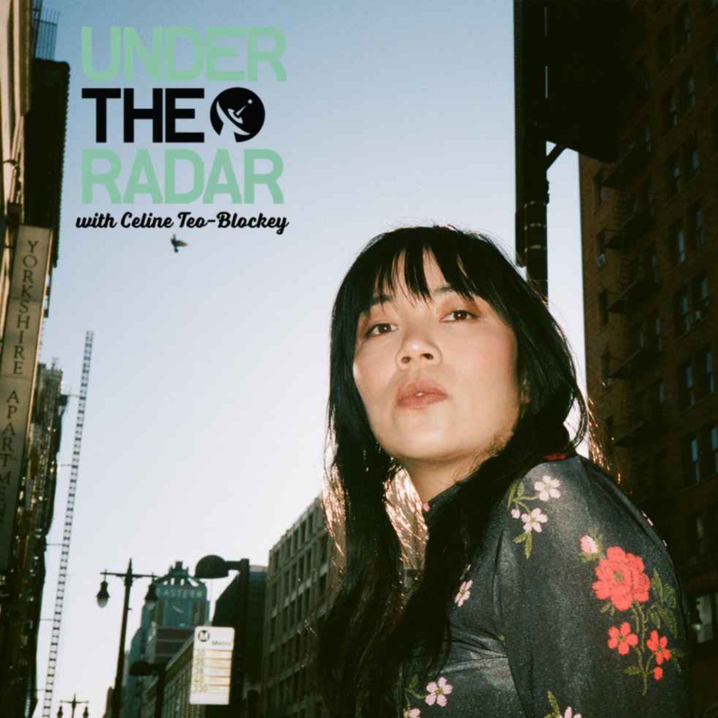 Thao & The Get Down Stay Down Image