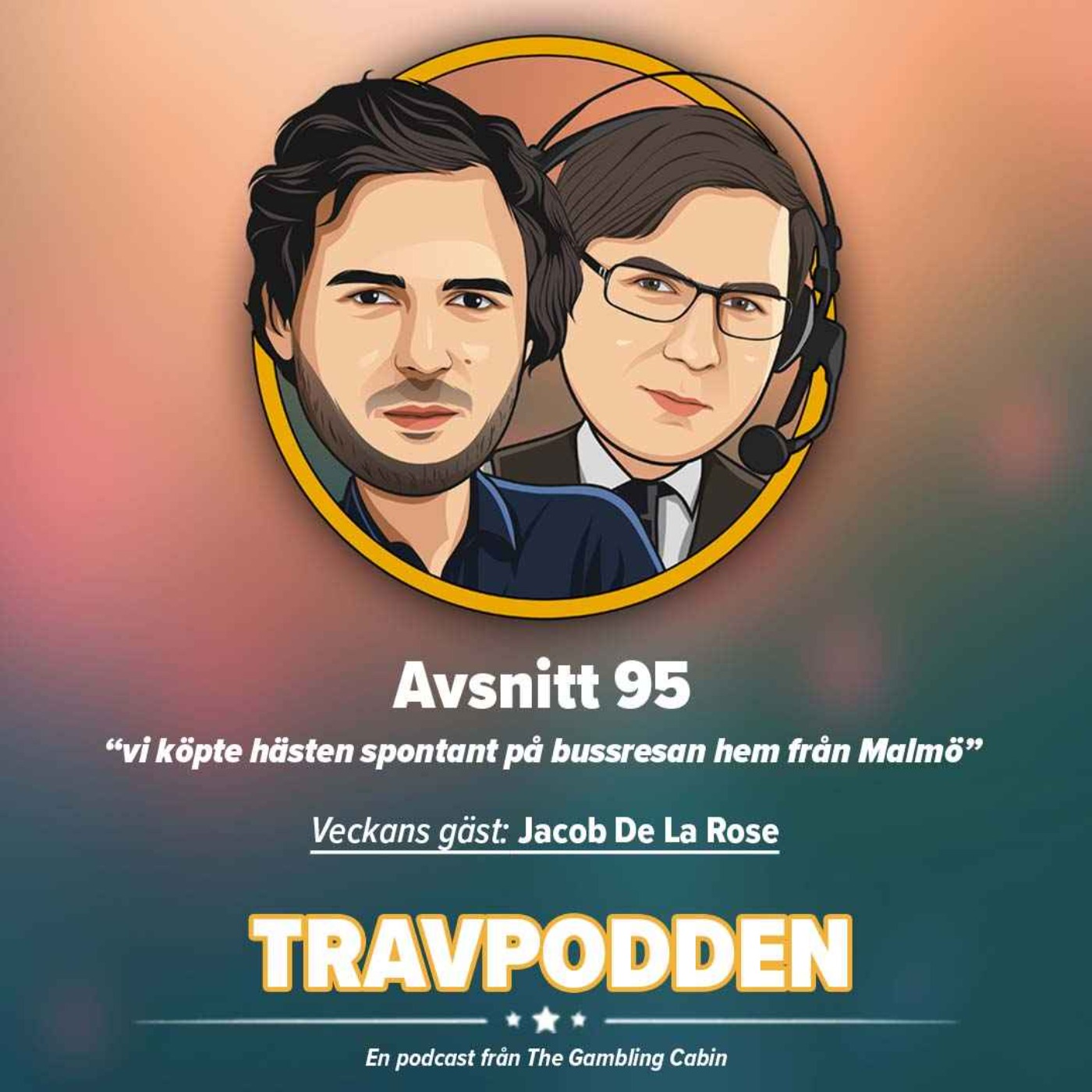 Avs. 95  - ”vi köpte hästen spontant på bussresan hem från Malmö”