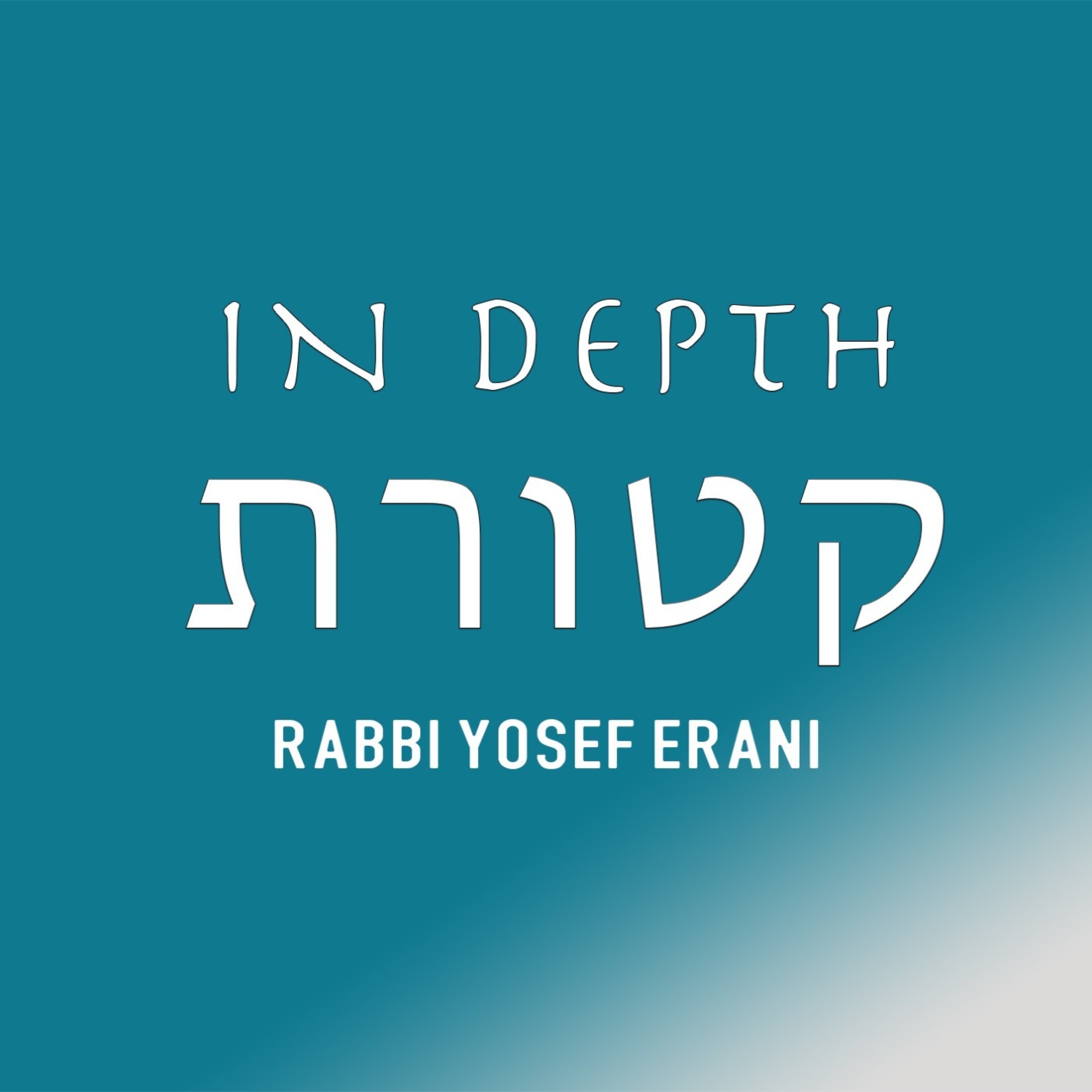 cover art for A Beautiful Insight from my conversation with Rabbi Hillel Haber shlit'"a