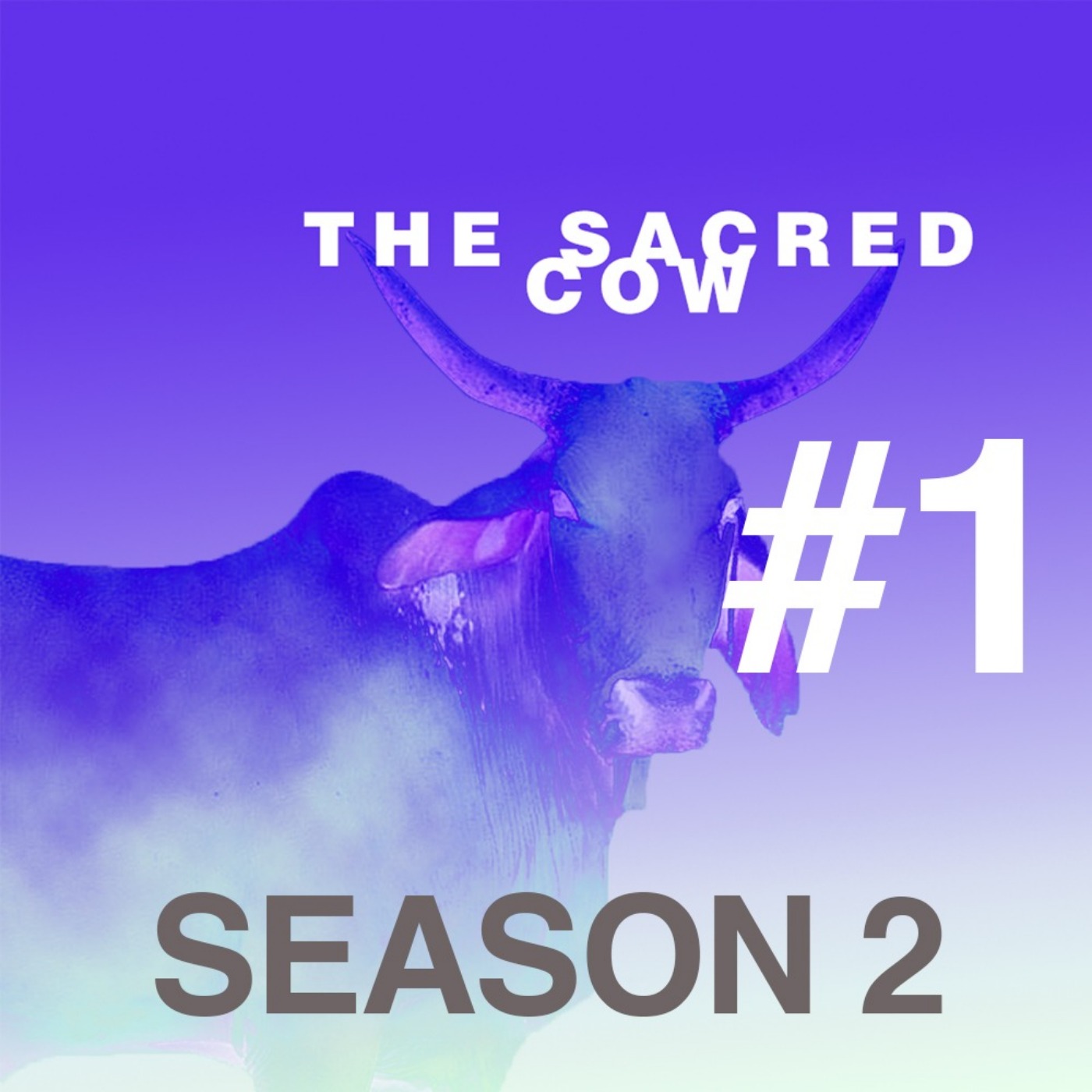 The Sacred Cow