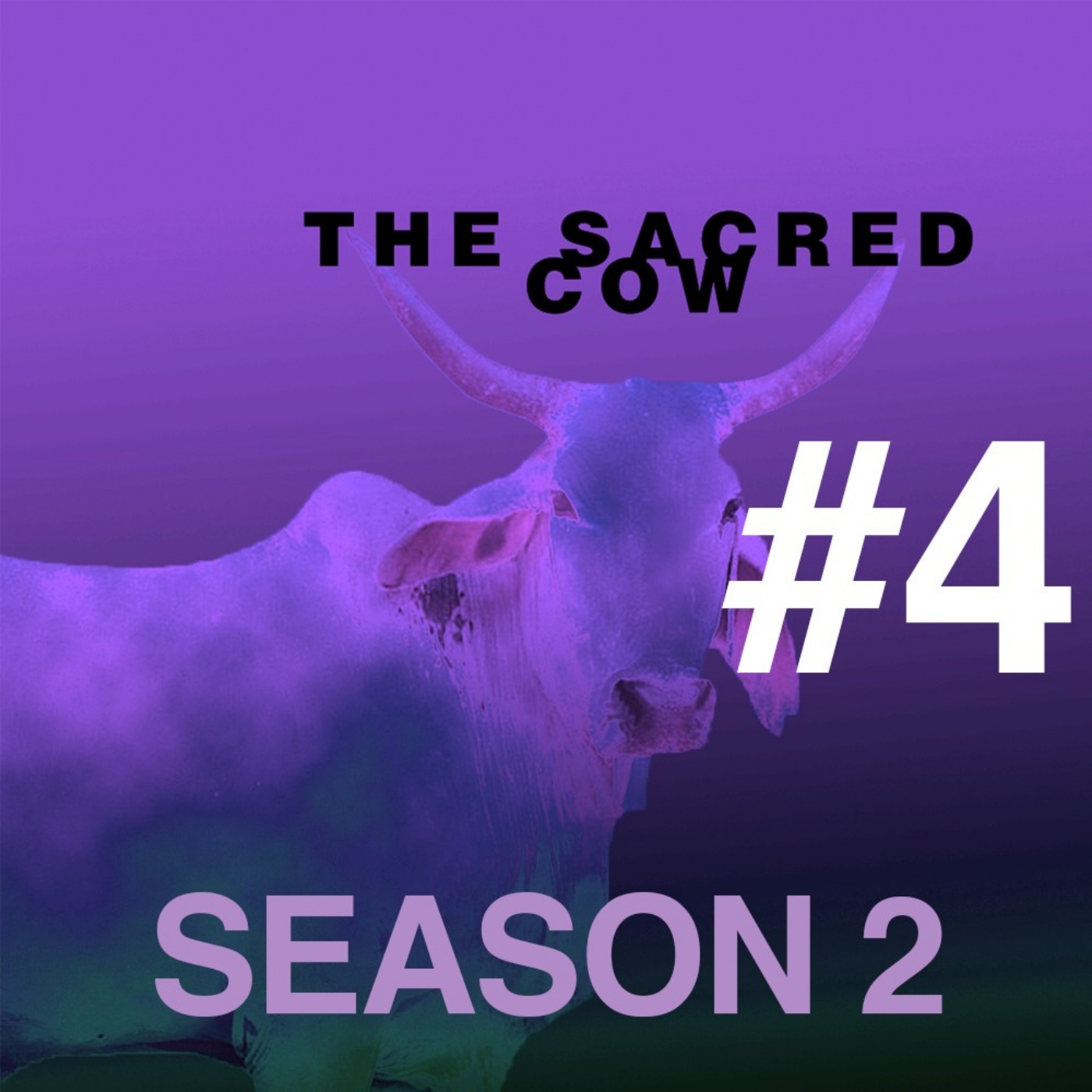 The Sacred Cow