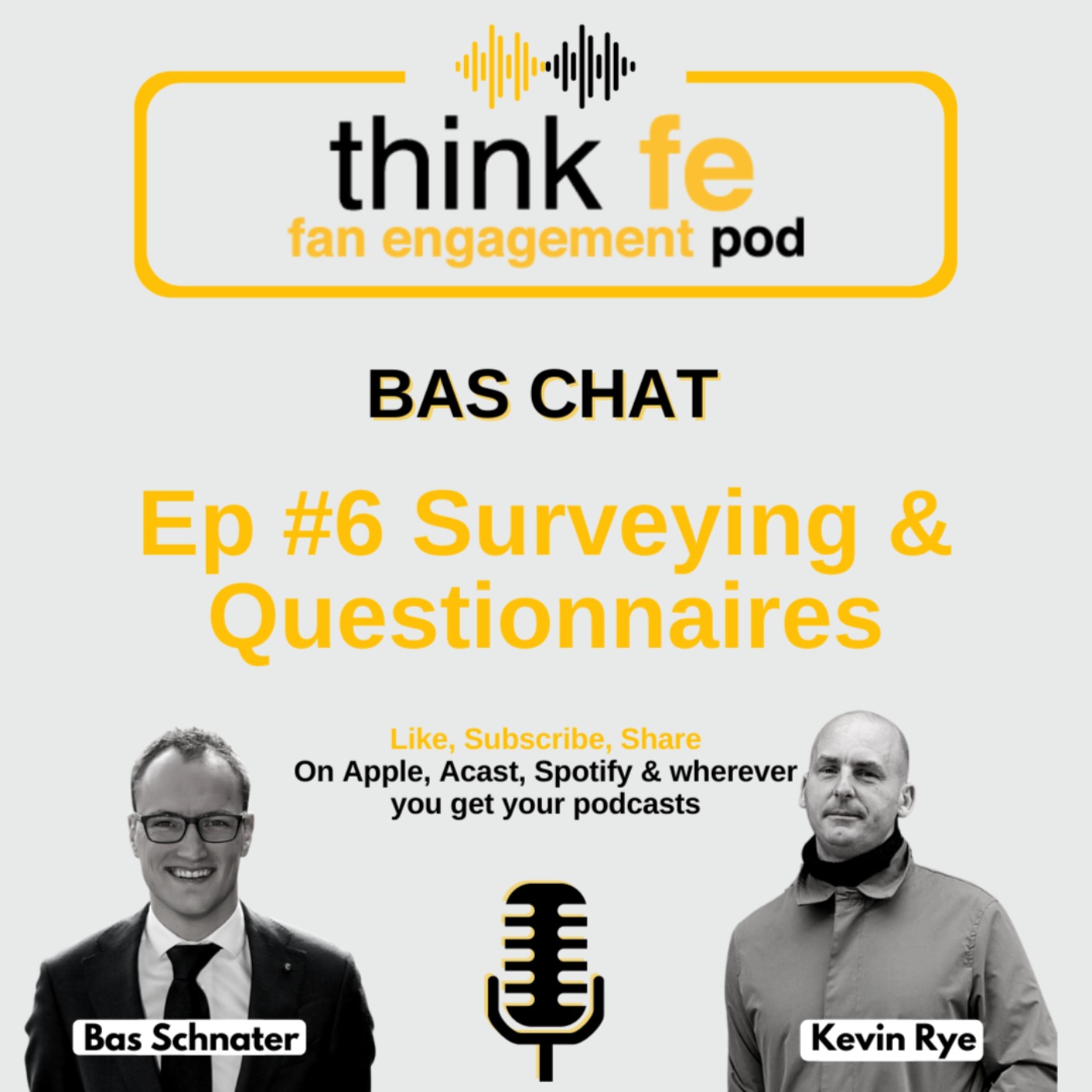Bas Chat #6 Surveying & Questionnaires