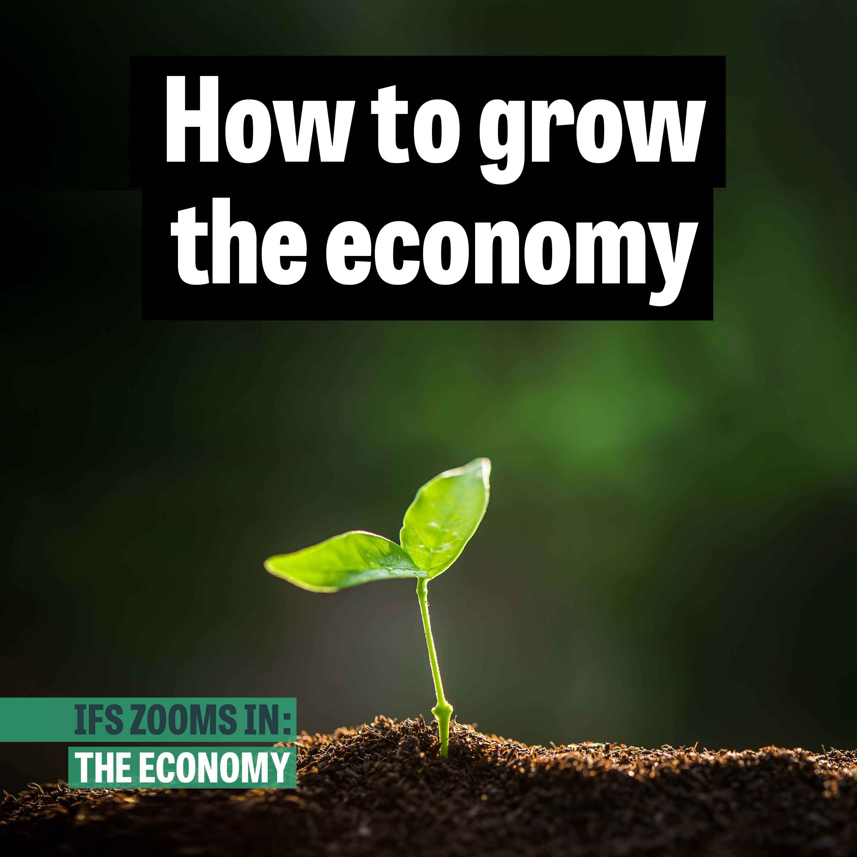 How to grow the economy