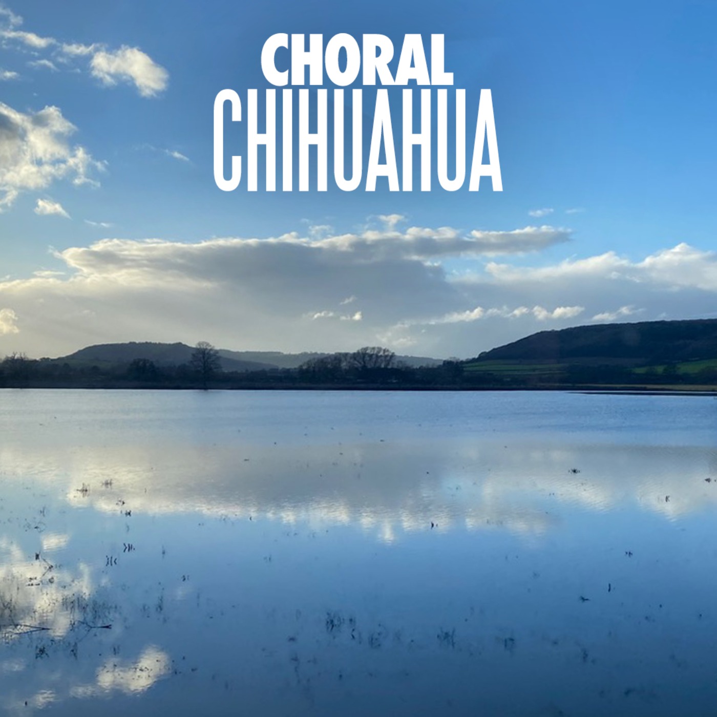 Clare Stevens - Choral Music journalist Clare Stevens - Choral Music journalist