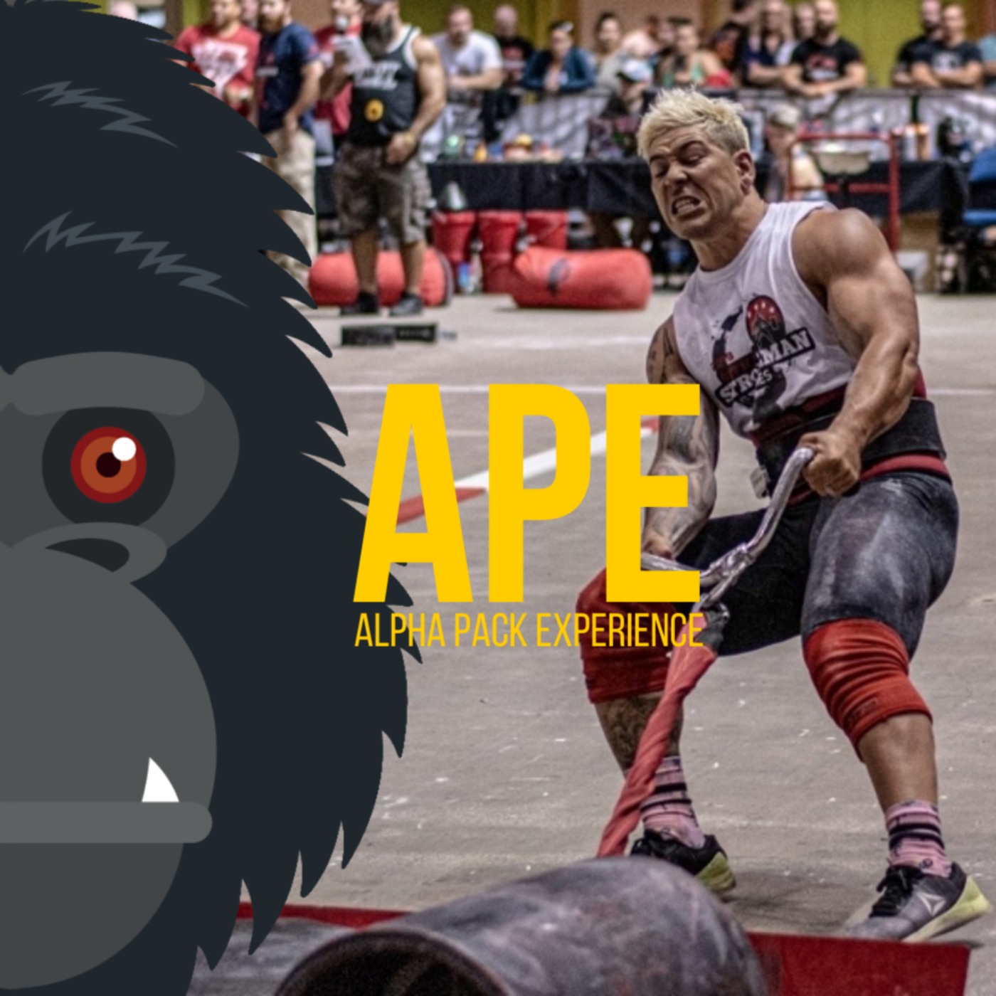 cover art for APE #53 - Ngarimu Ahipene