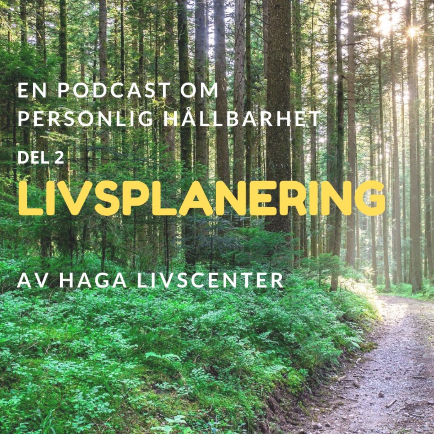 2. Livsplanering