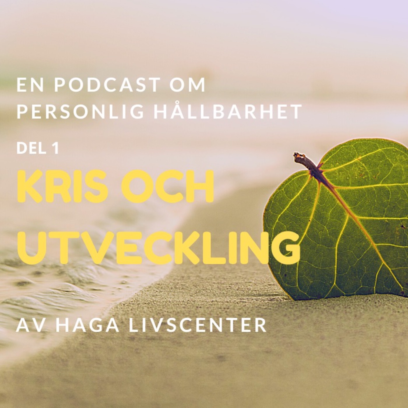 1. Kris och Utveckling