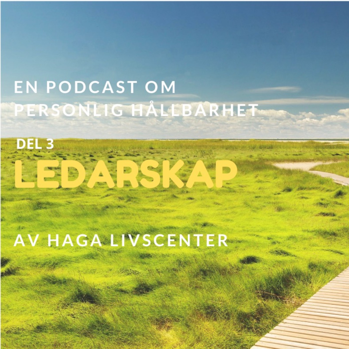 3. Ledarskap