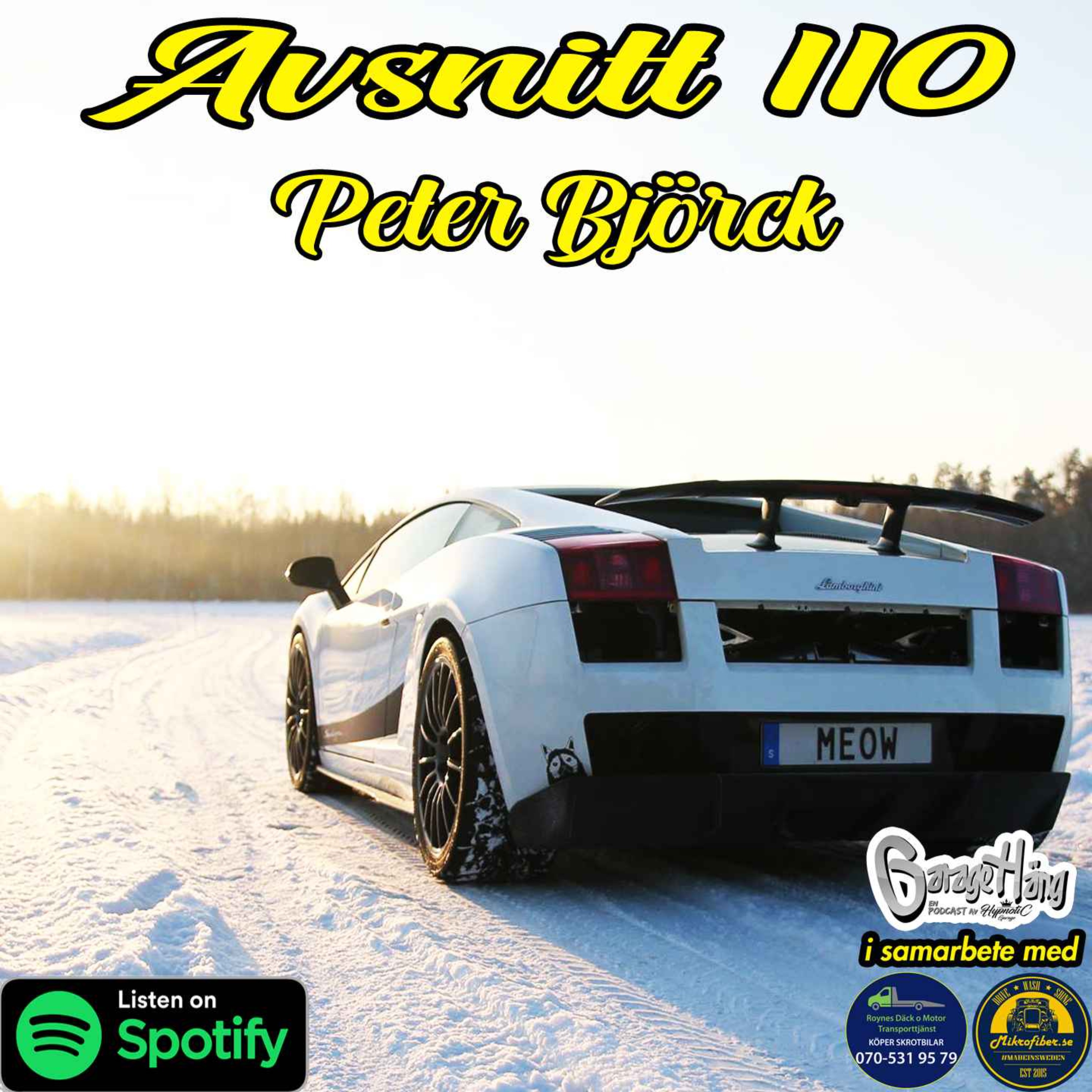 Peter Björck episode artwork