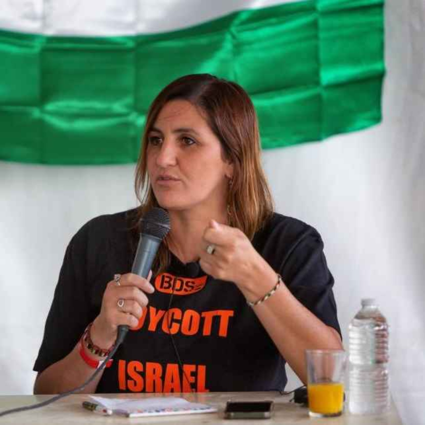 #61 La Palestine, une question française, avec Monira Moon