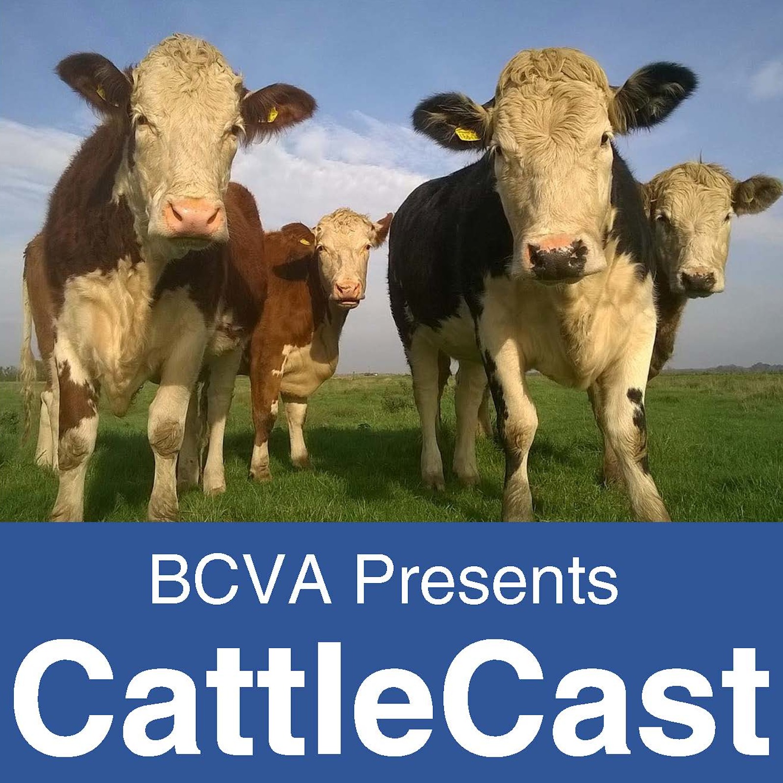 cover art for Cattlecast - Episode 35