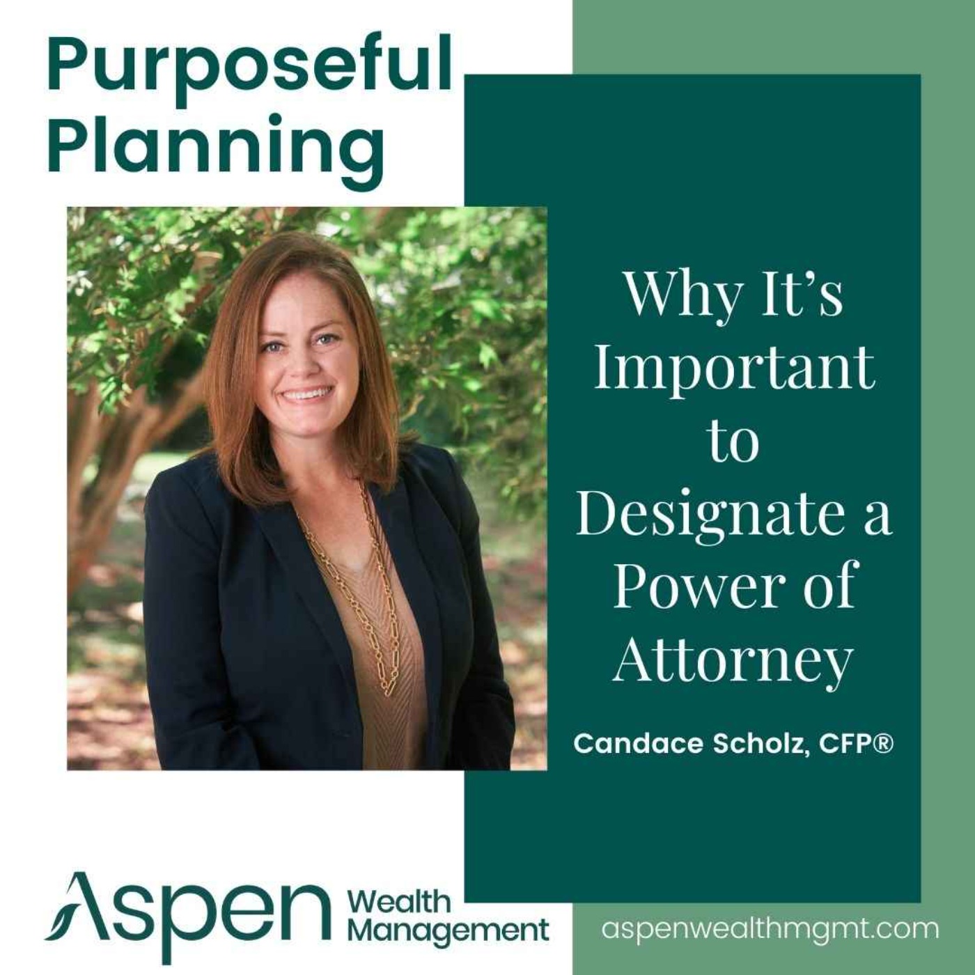 Why It’s Important to Designate a Power of Attorney, Part 2