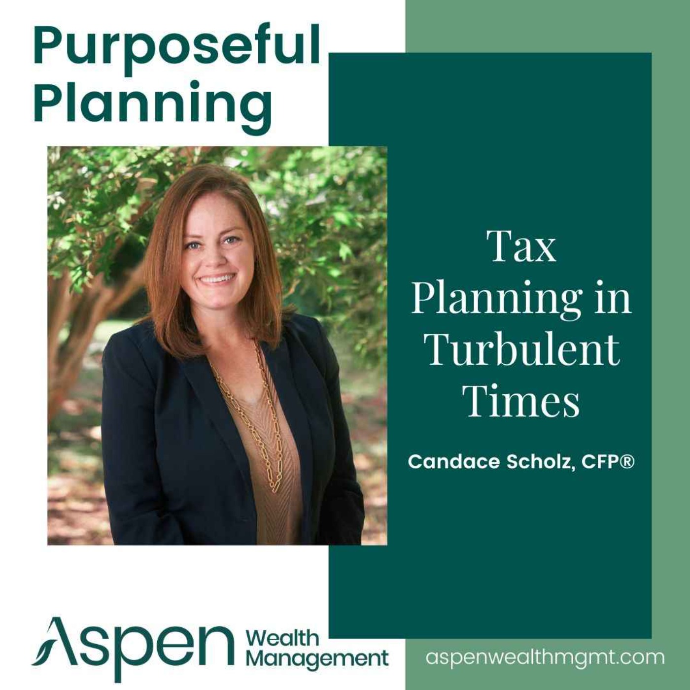 Tax Planning in Turbulent Times, Part 1