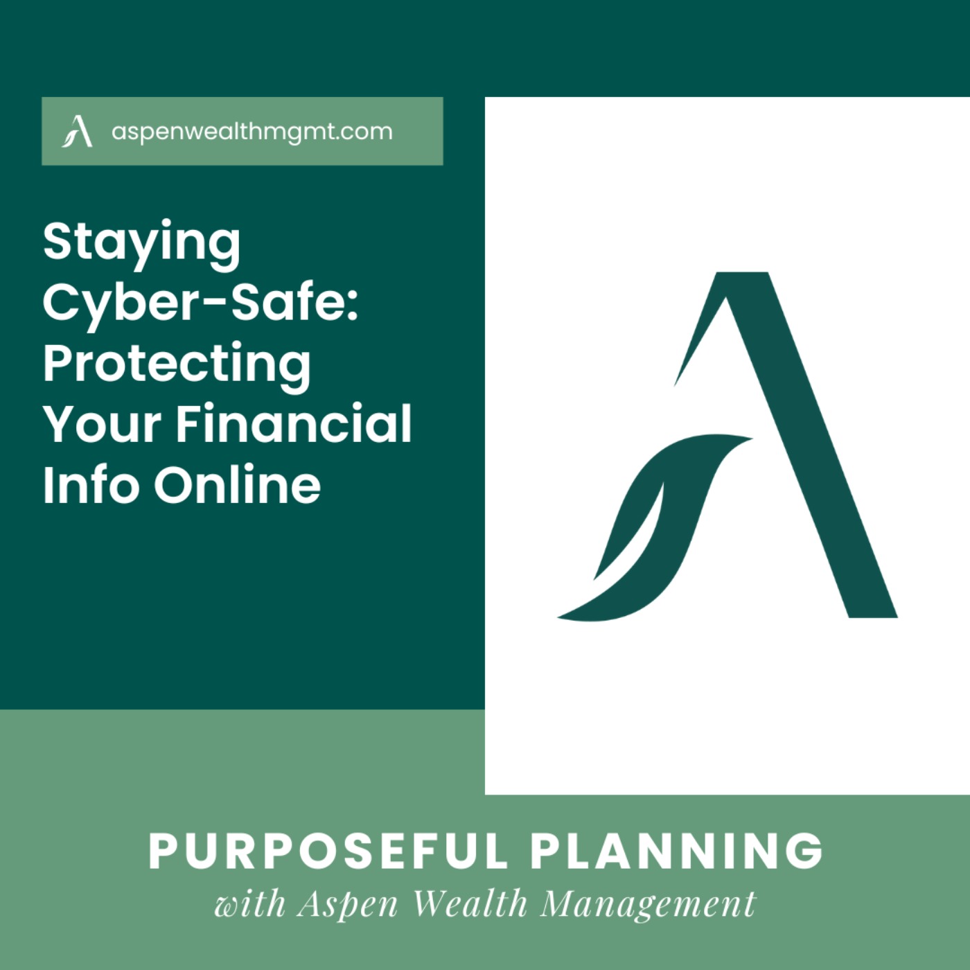 Staying Cyber-Safe: Protecting Your Financial Info Online