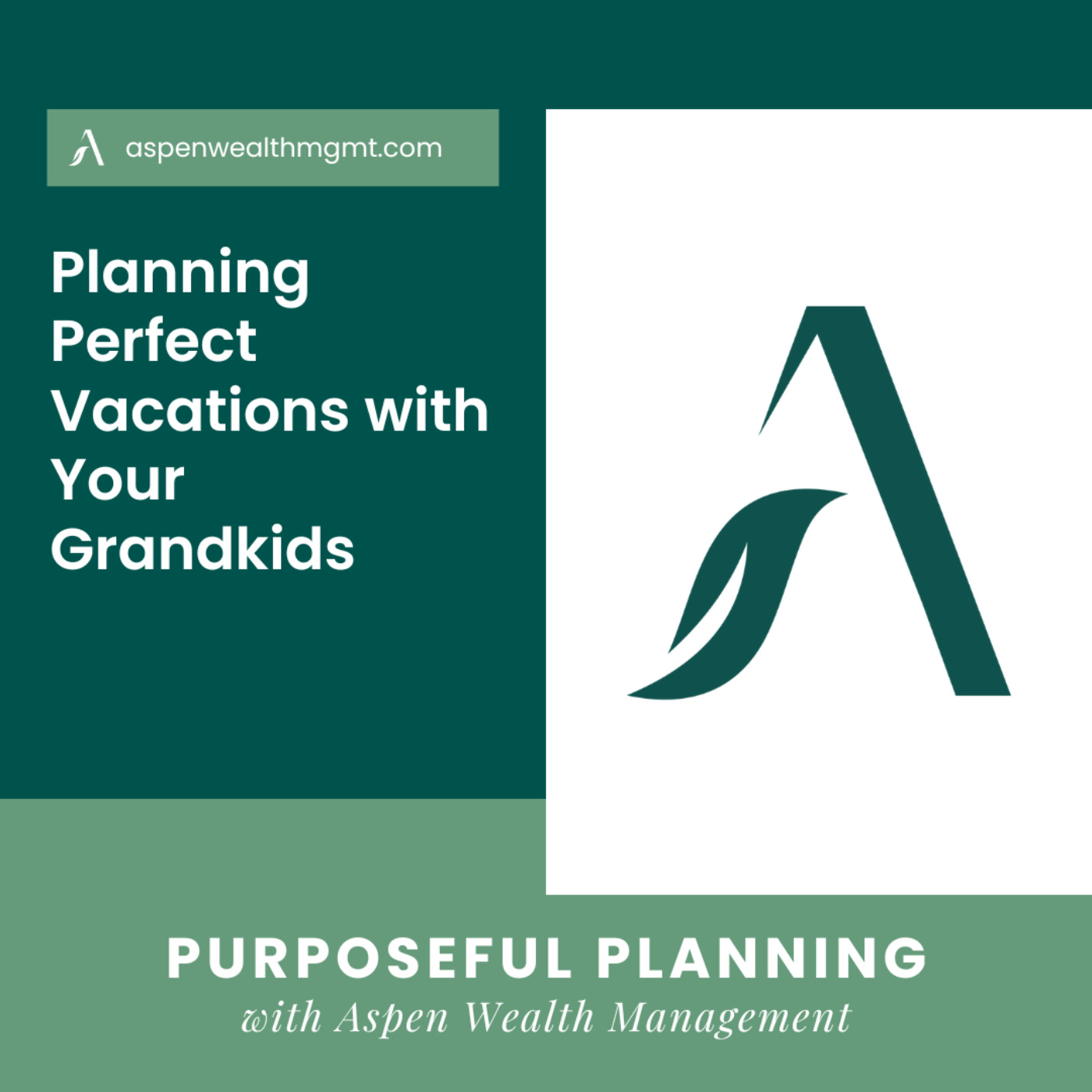 Planning Perfect Vacations with Your Grandkids