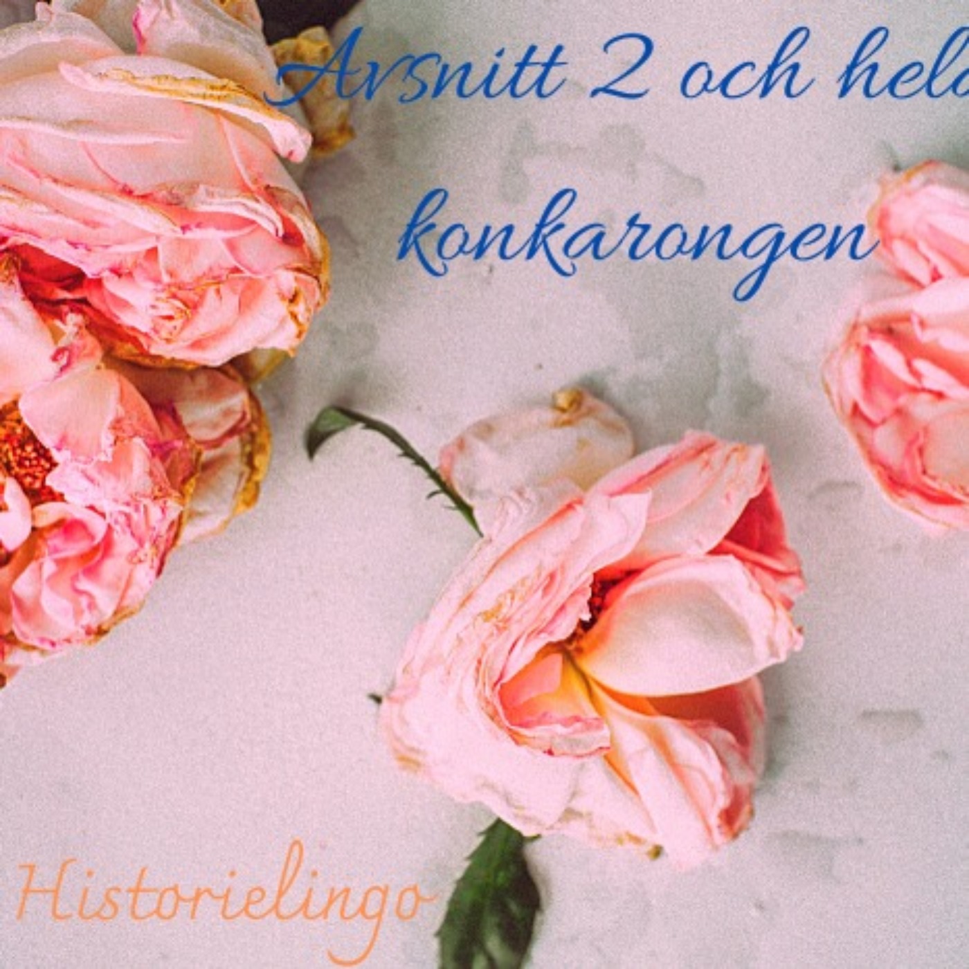 Historielingo