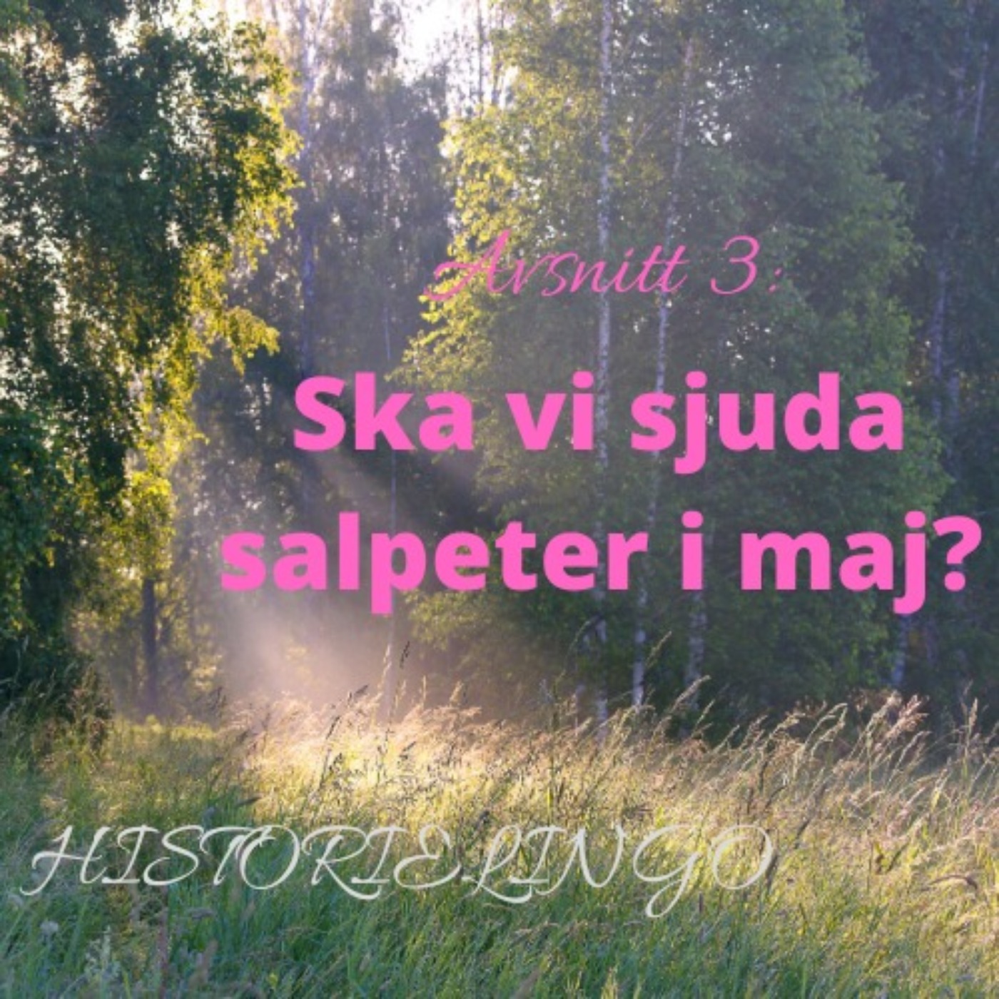 Historielingo