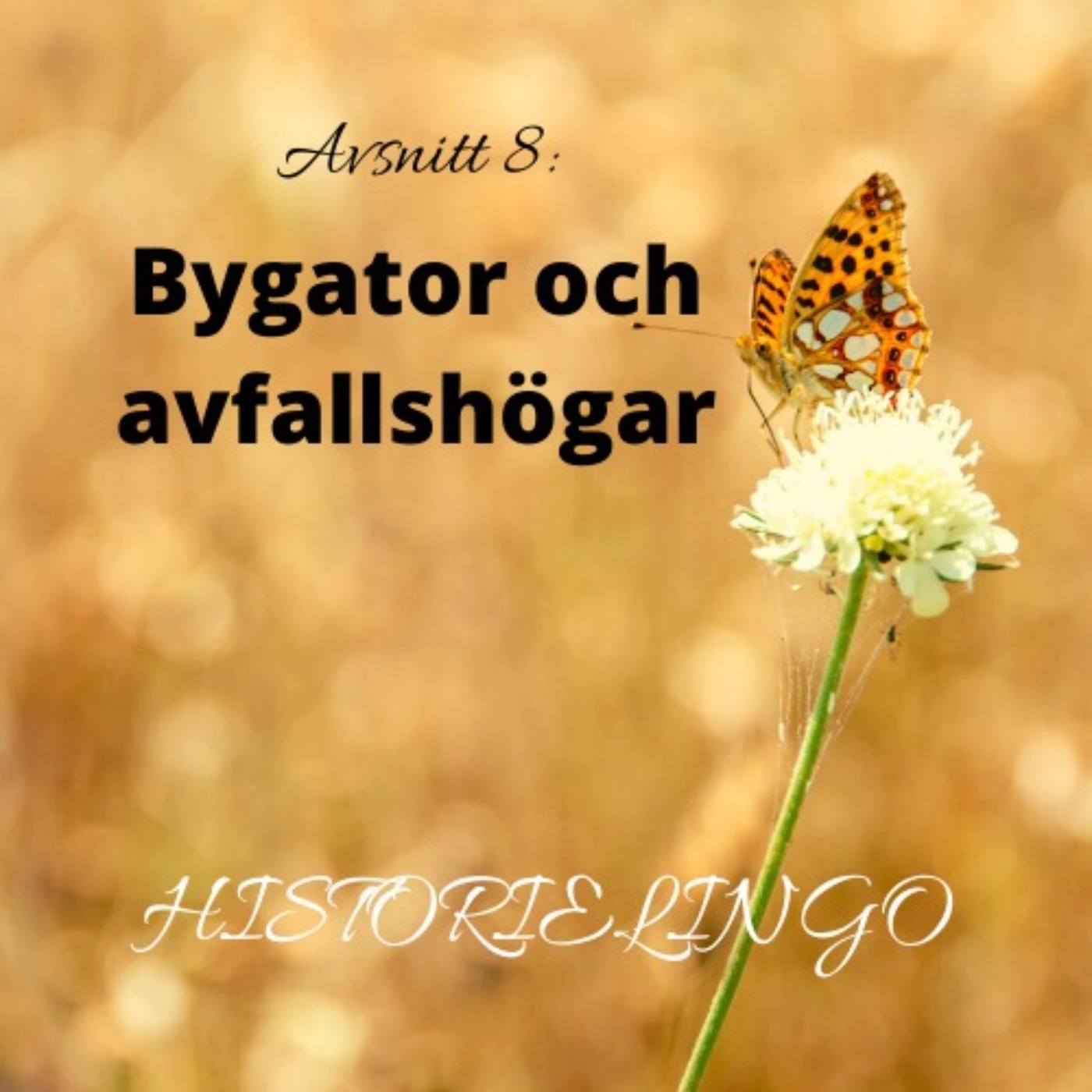 Historielingo