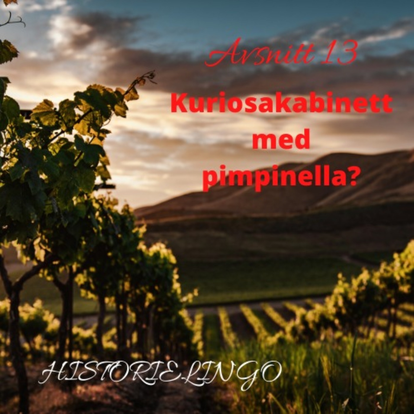 Historielingo
