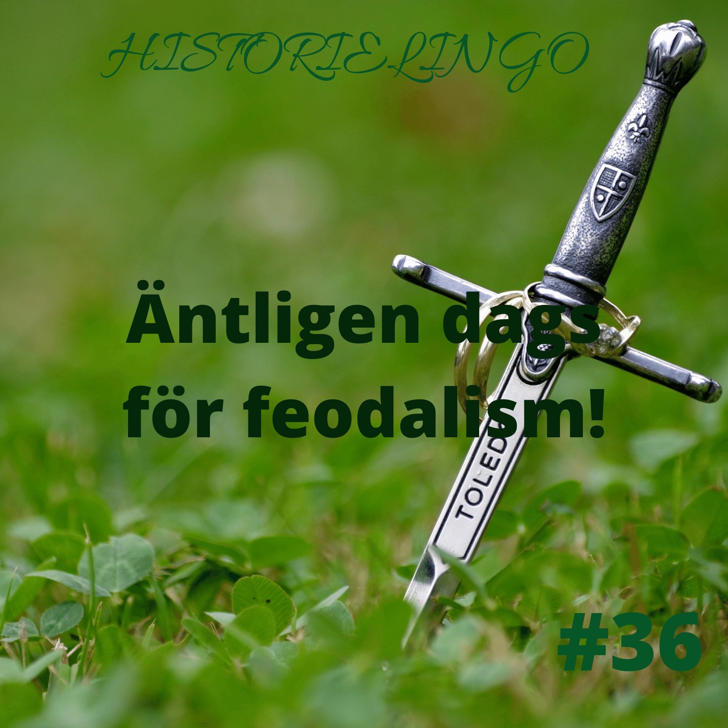 Historielingo