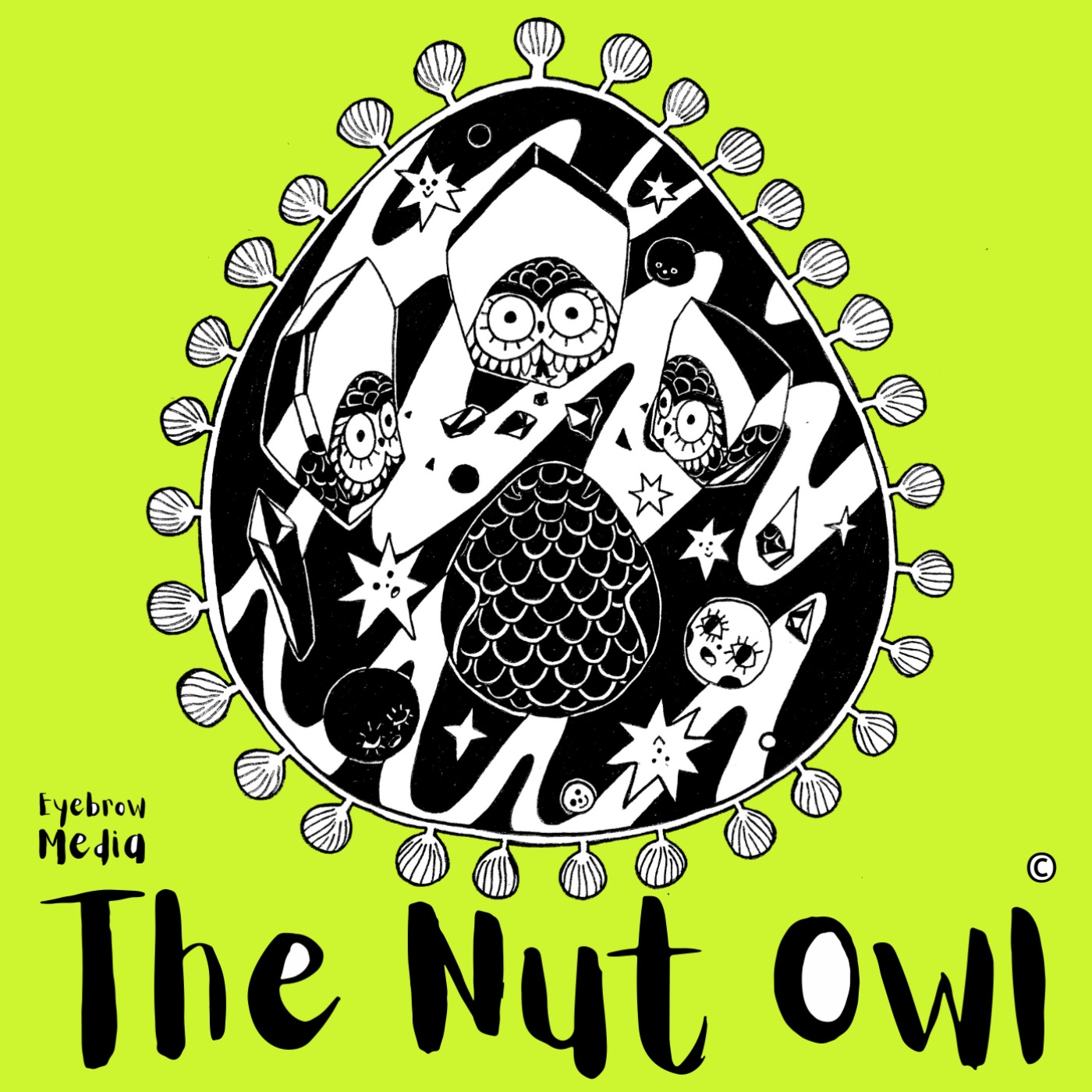 The Nut Owl