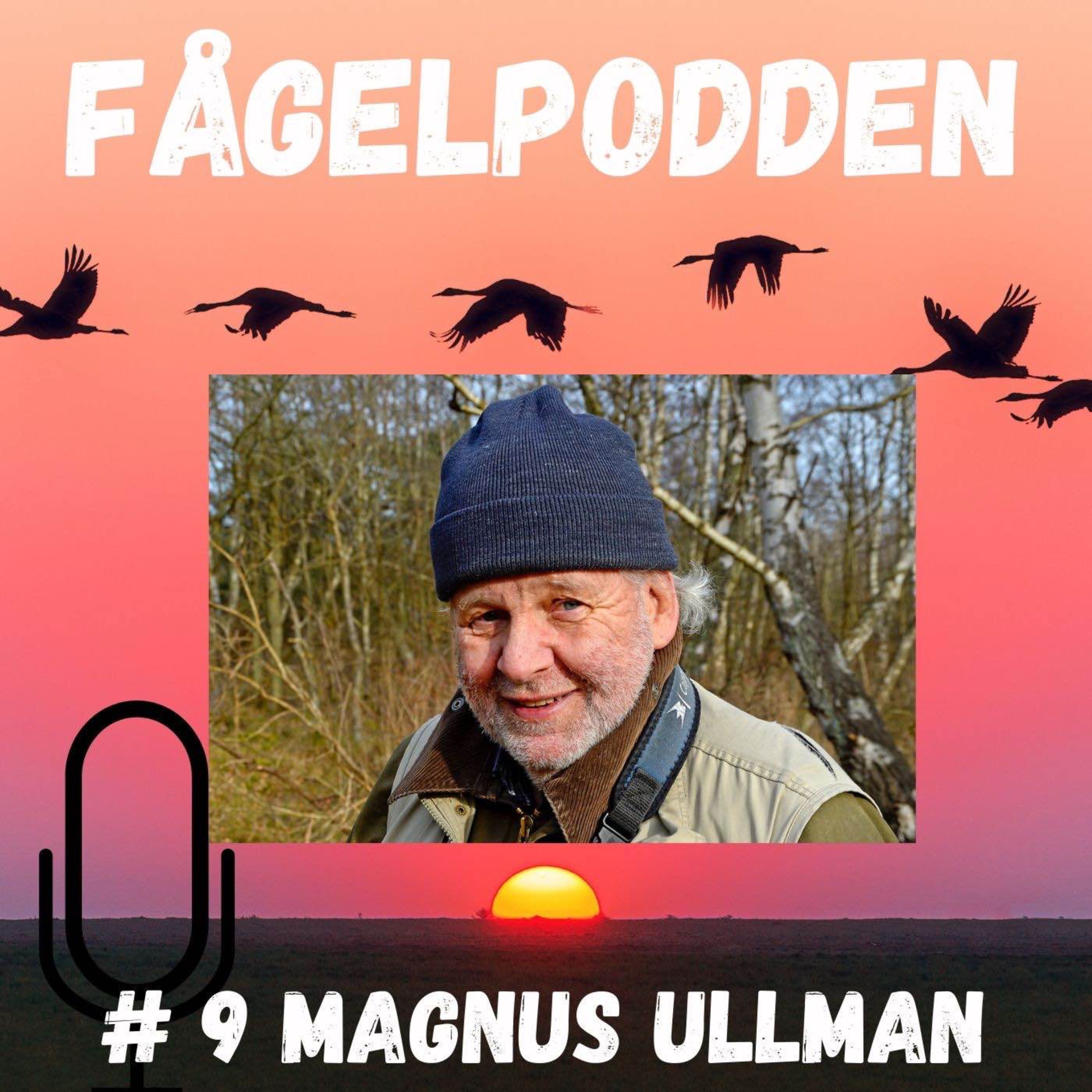 Fågelpodden