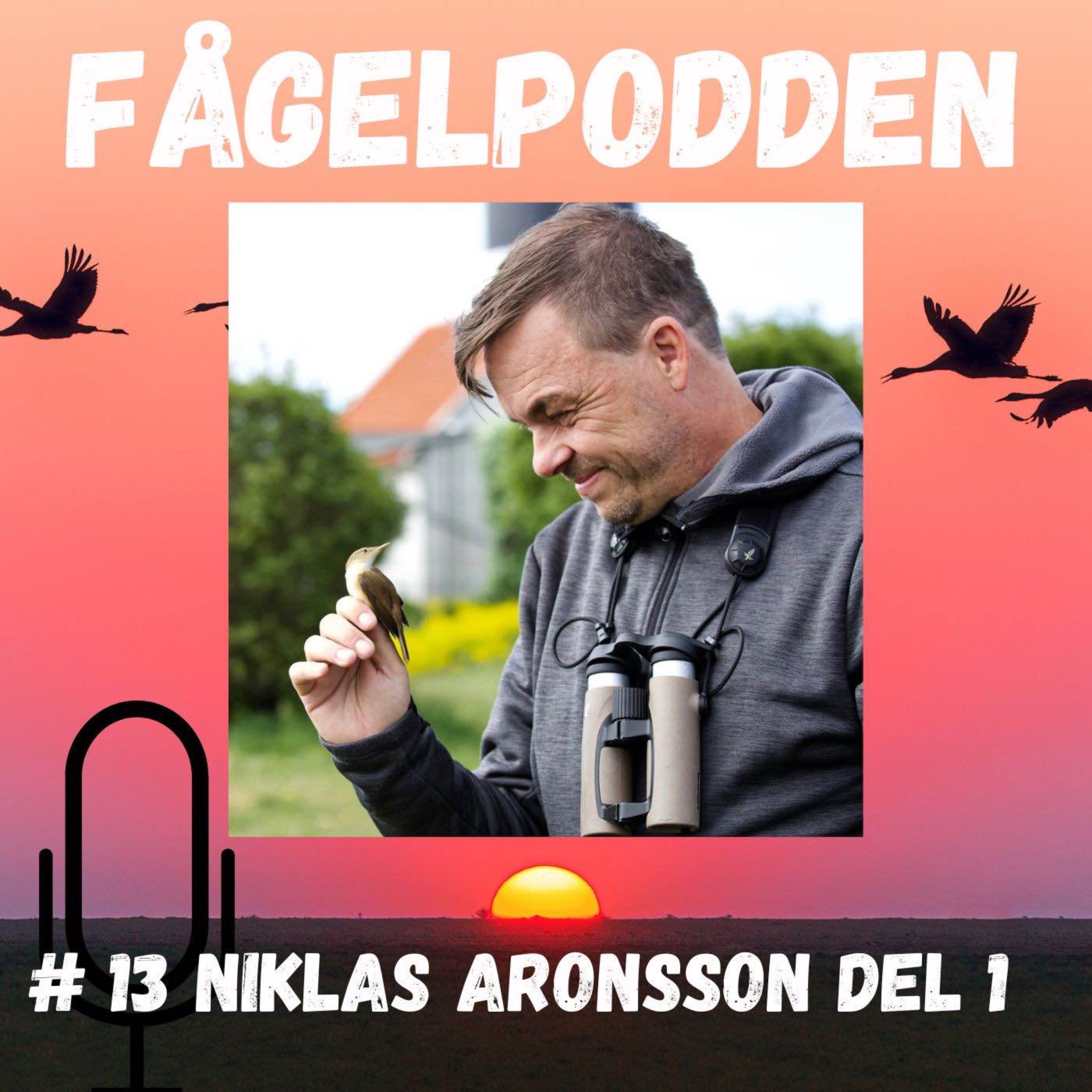 Fågelpodden