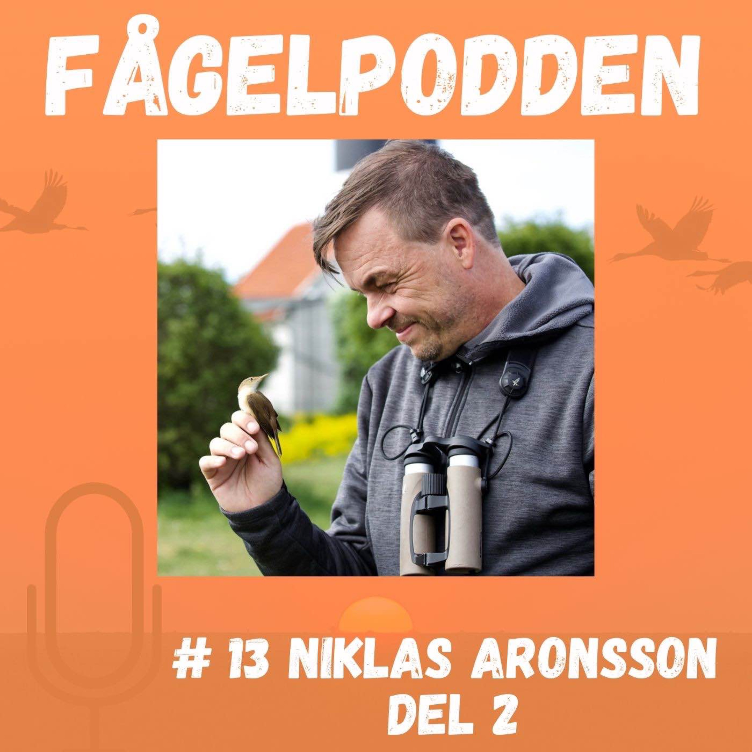 Fågelpodden
