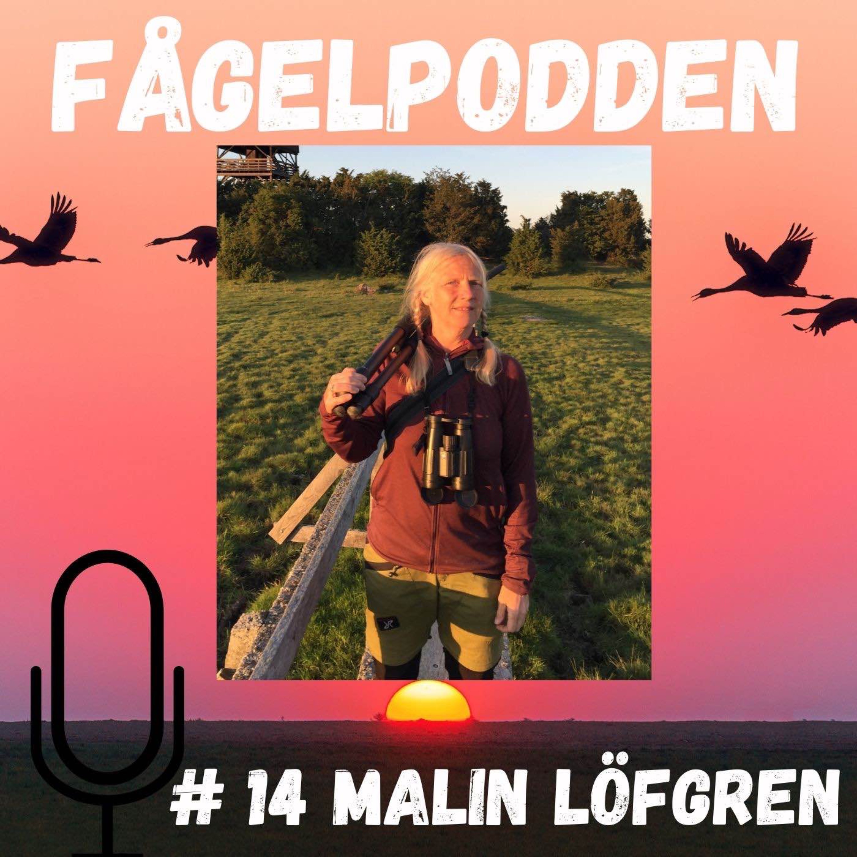 Fågelpodden