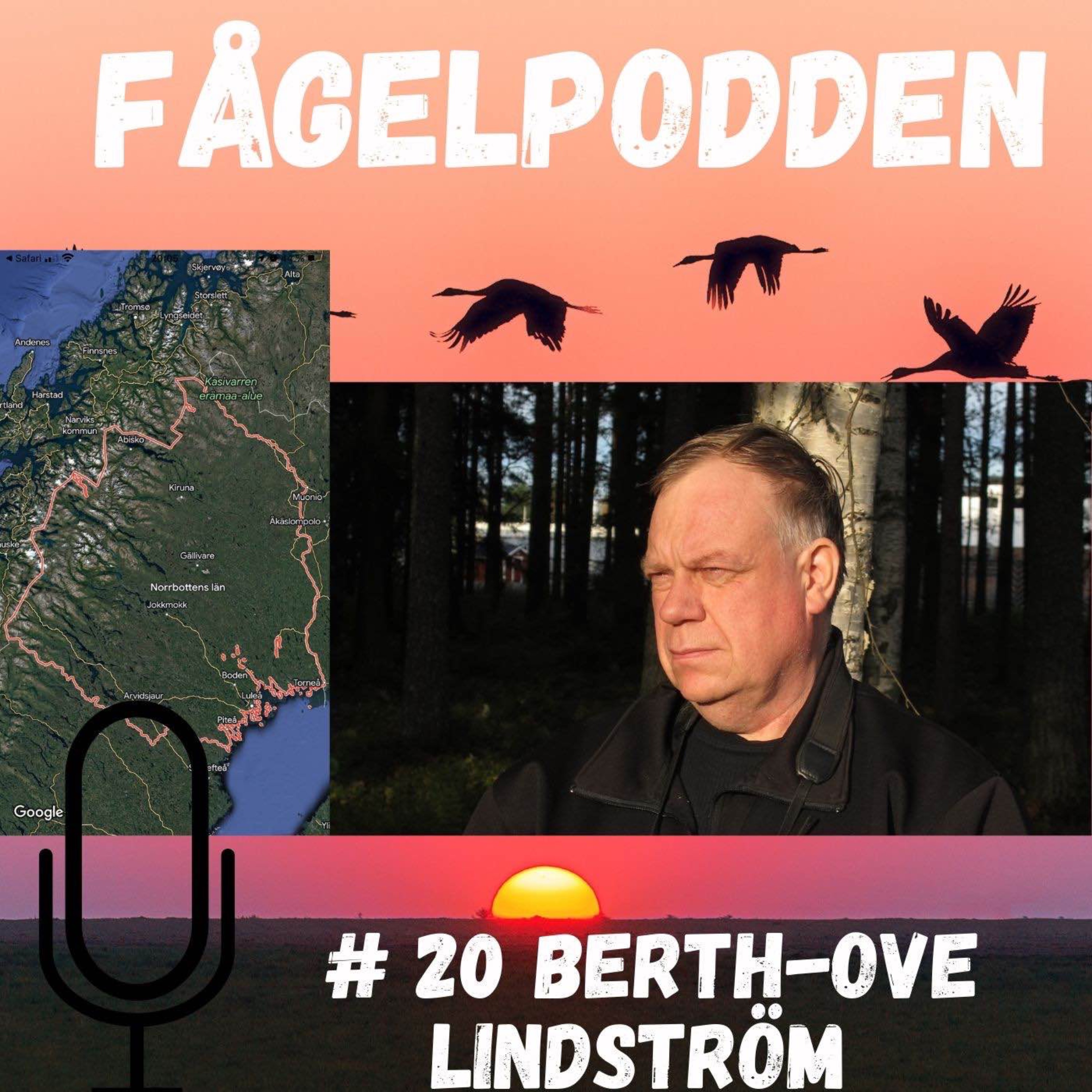 Fågelpodden