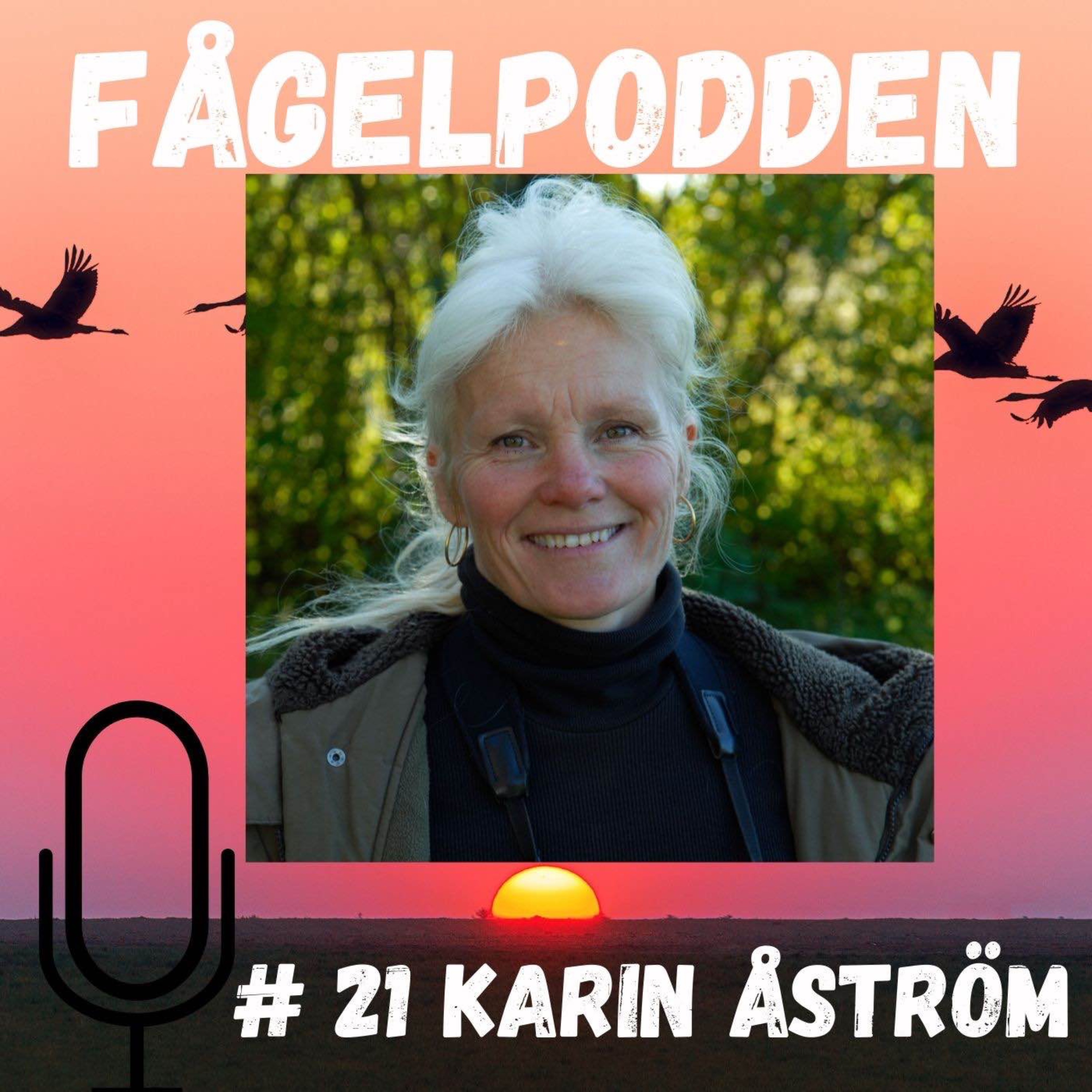 Fågelpodden