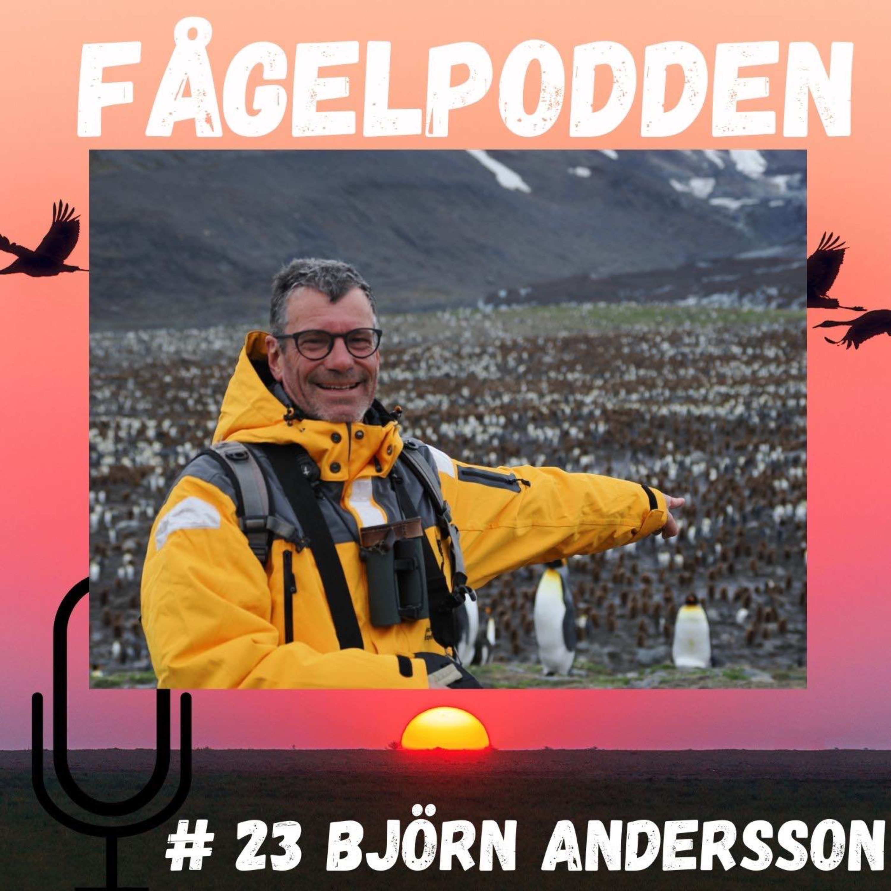 Fågelpodden