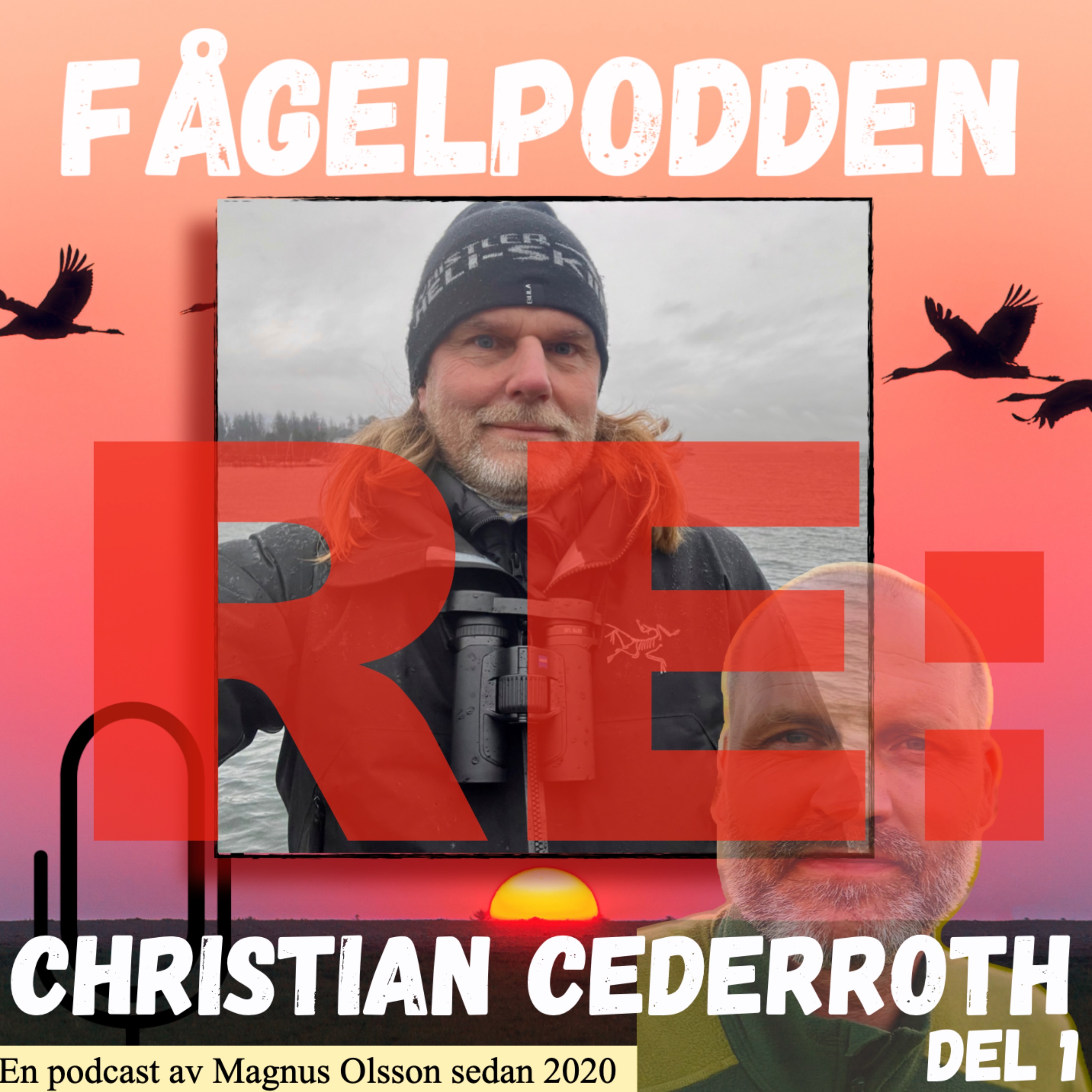 Fågelpodden