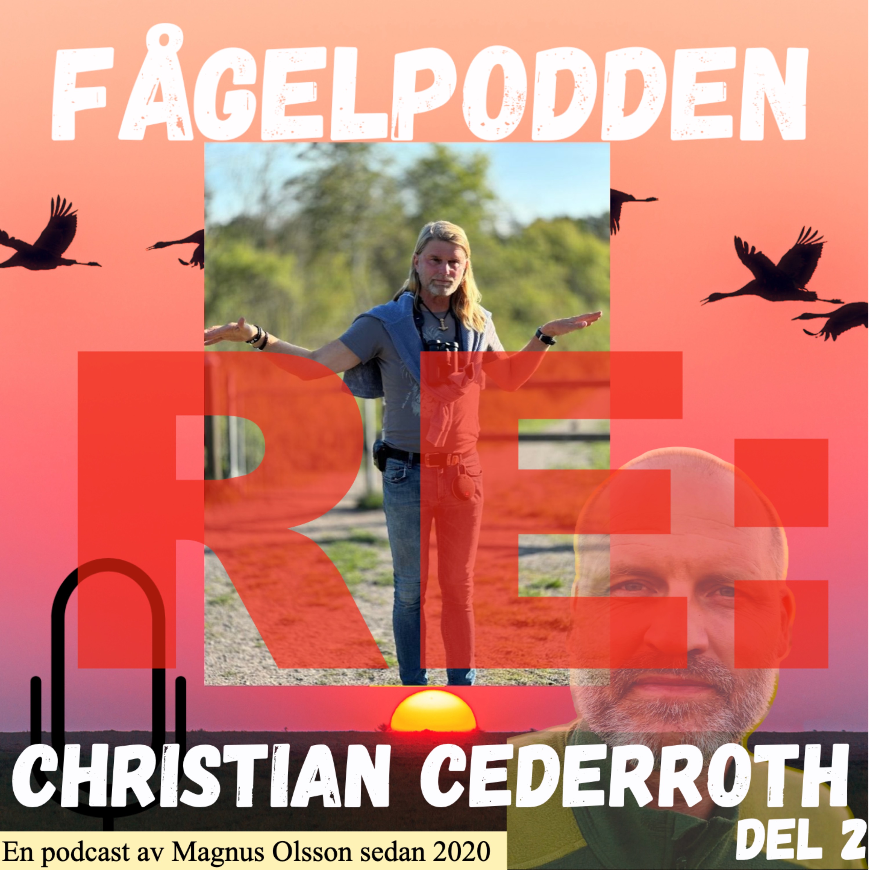 Fågelpodden