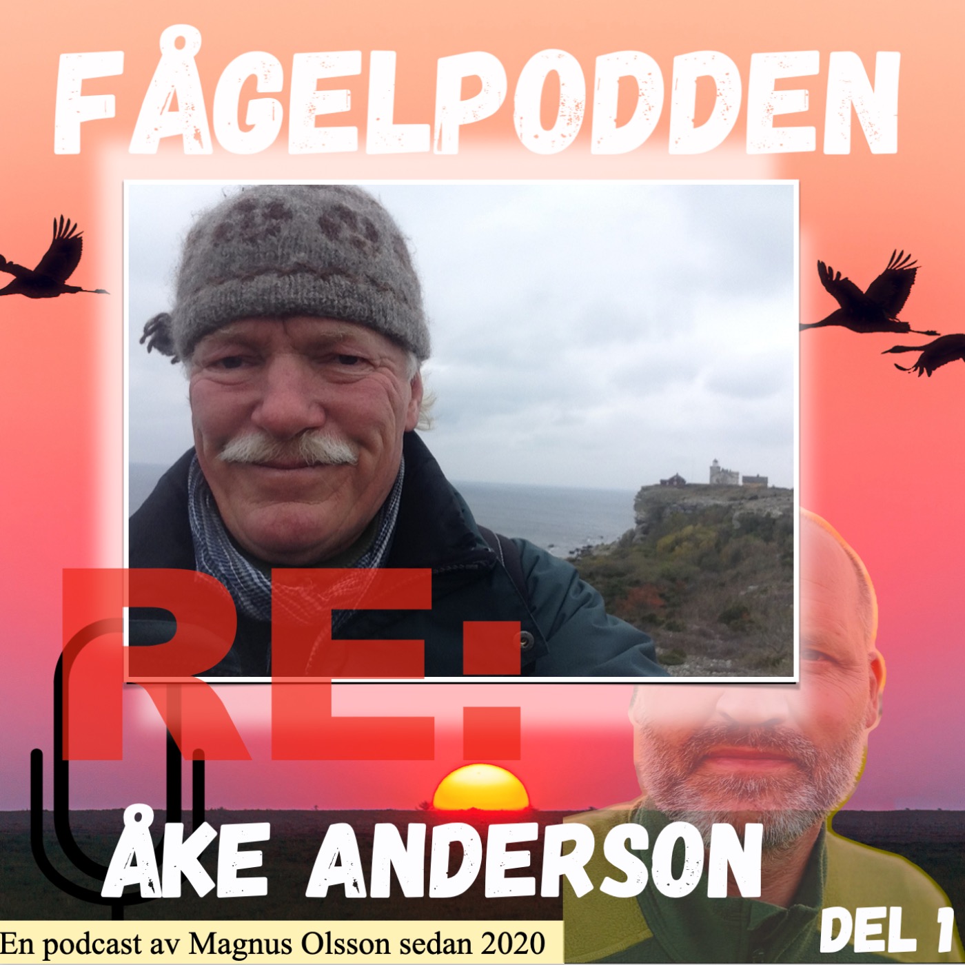 Fågelpodden