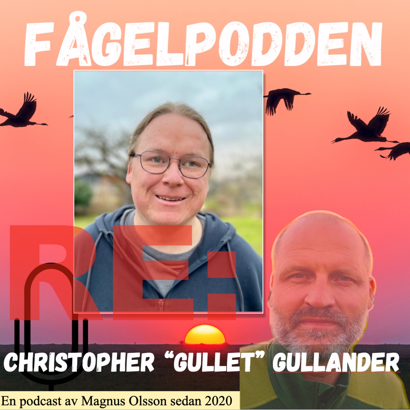 Fågelpodden