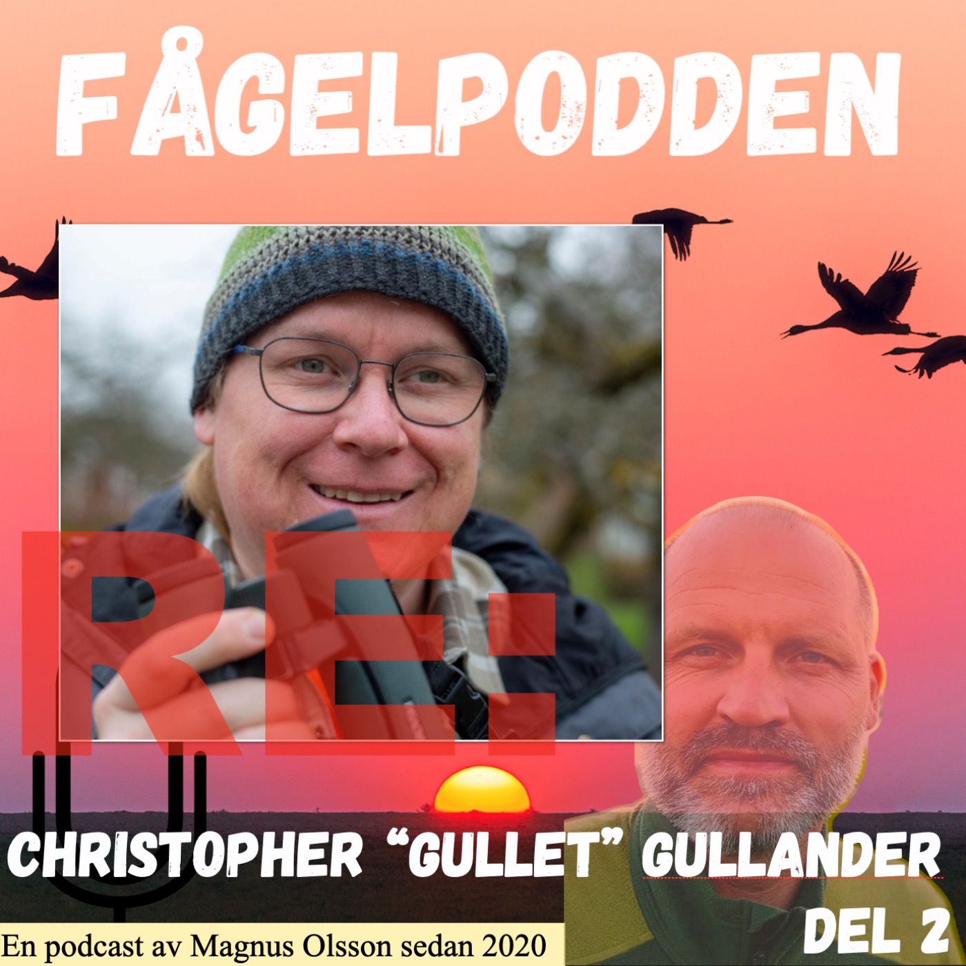 Fågelpodden