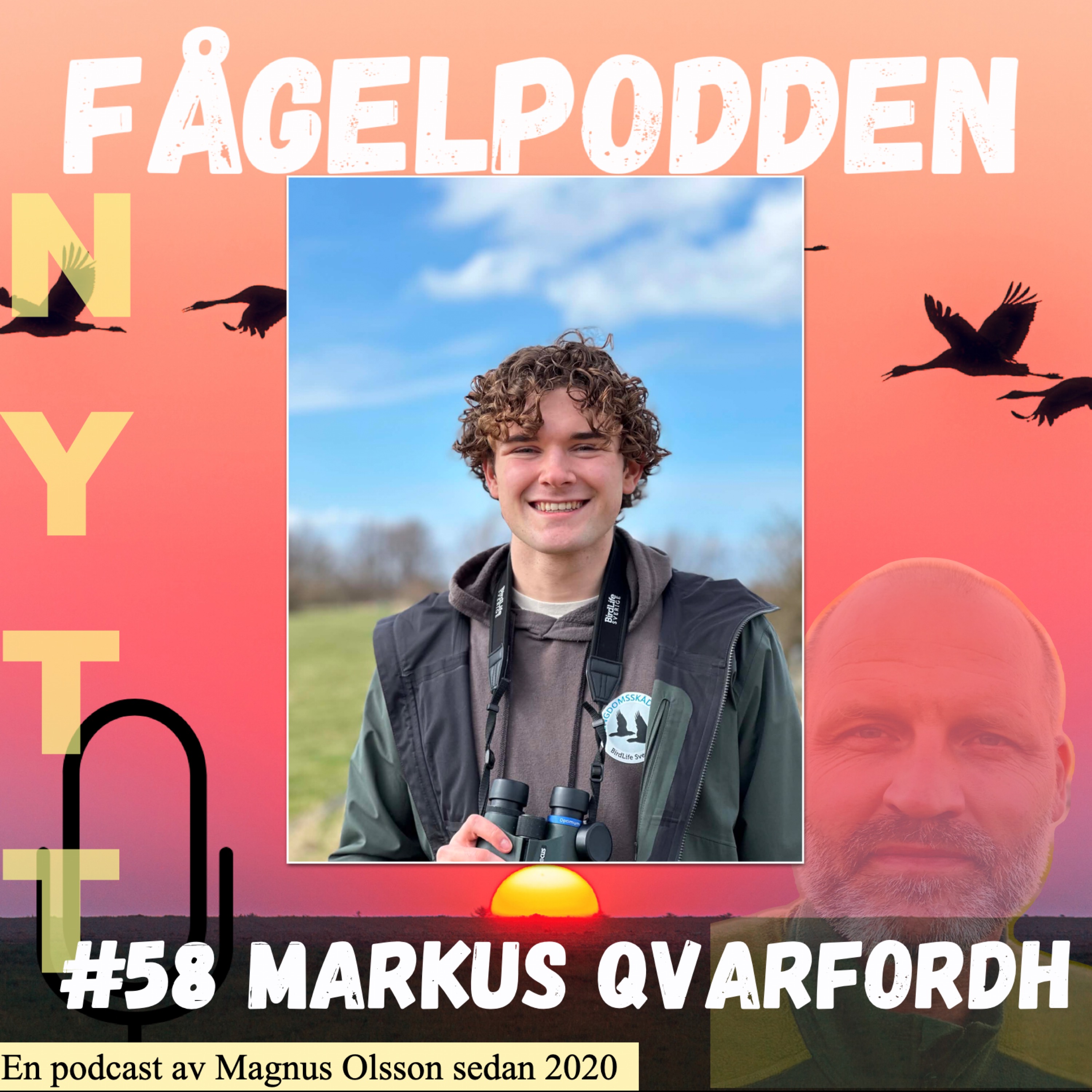 Artwork for Fågelpodden
