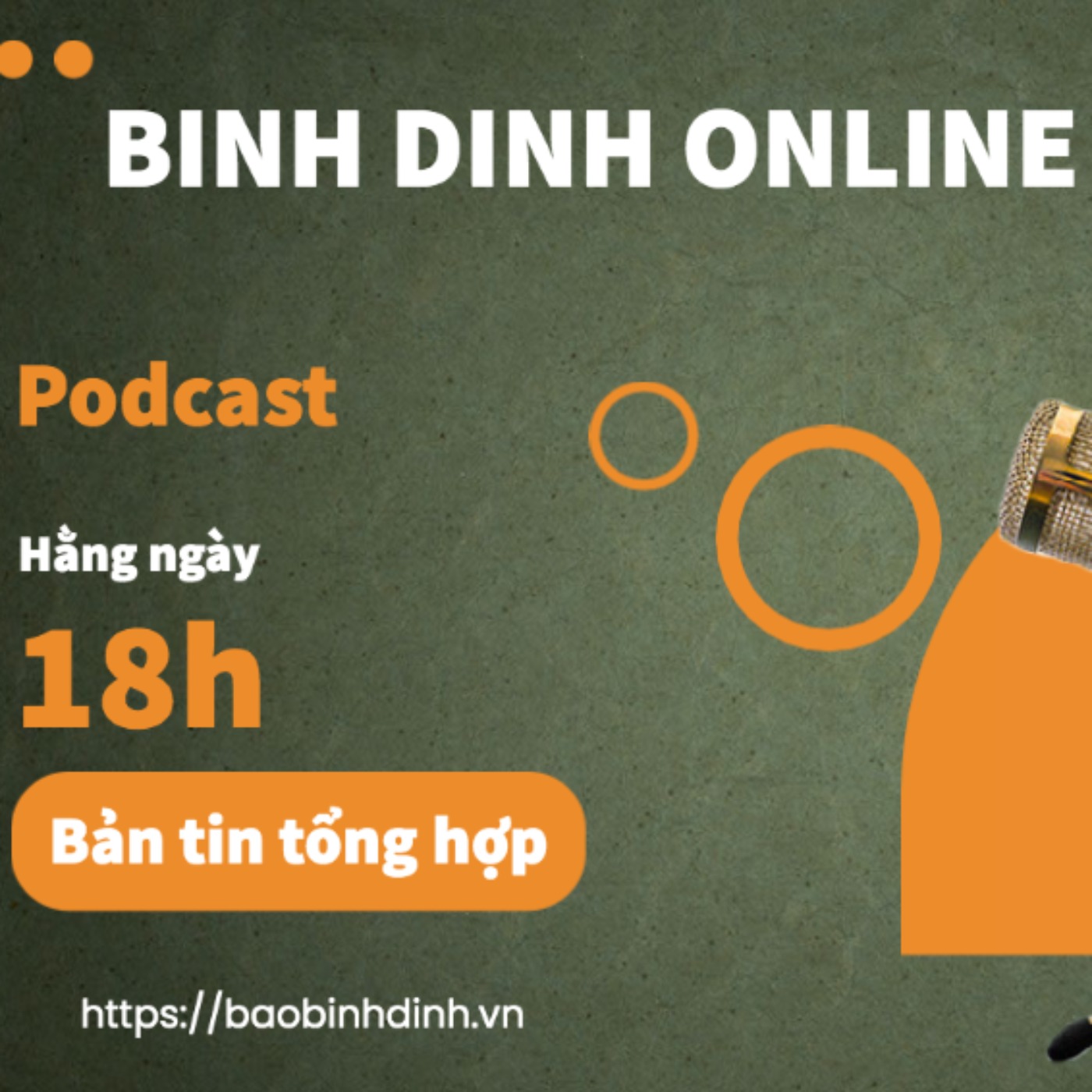 Binh Dinh Online