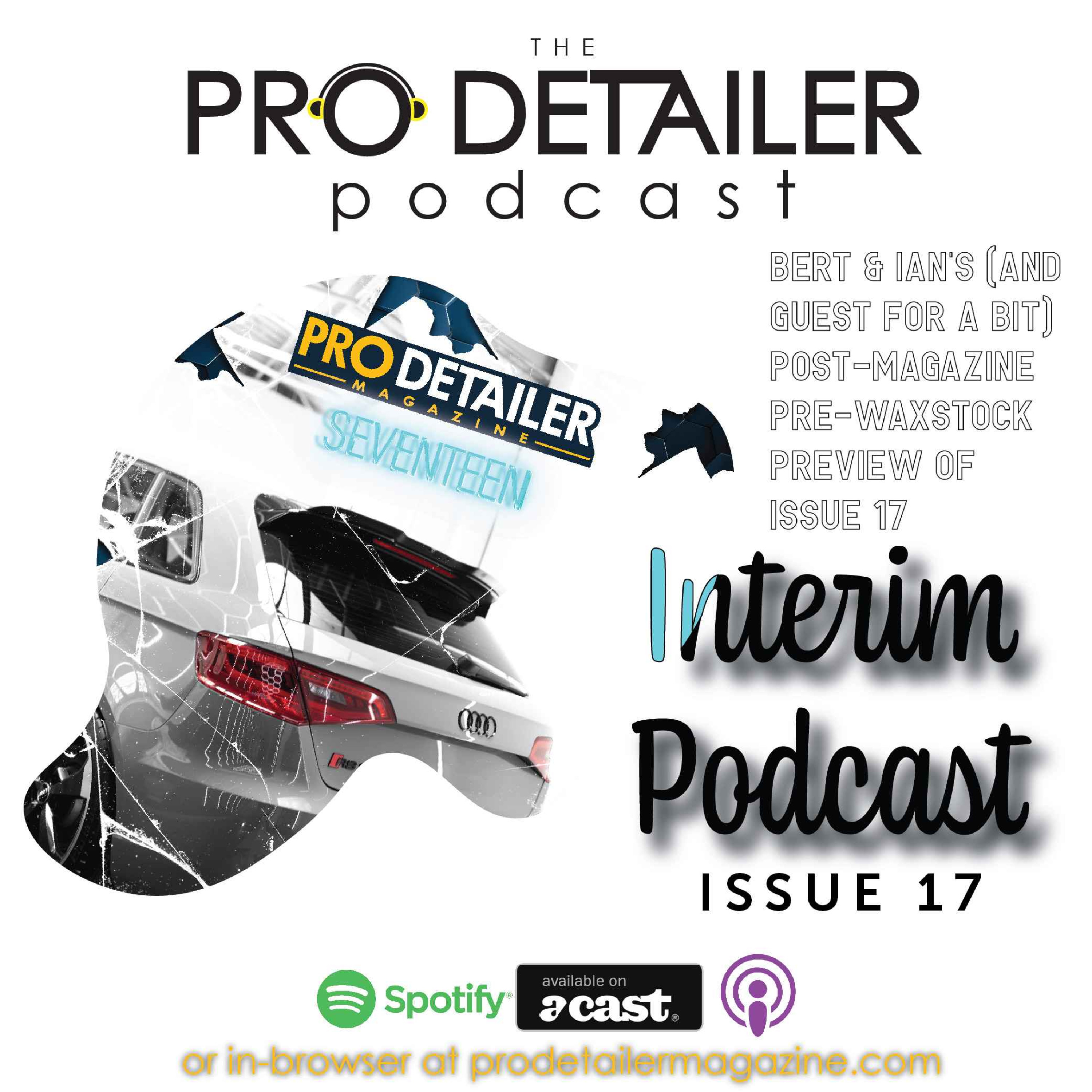 Interim Podcast  -Issue 17
