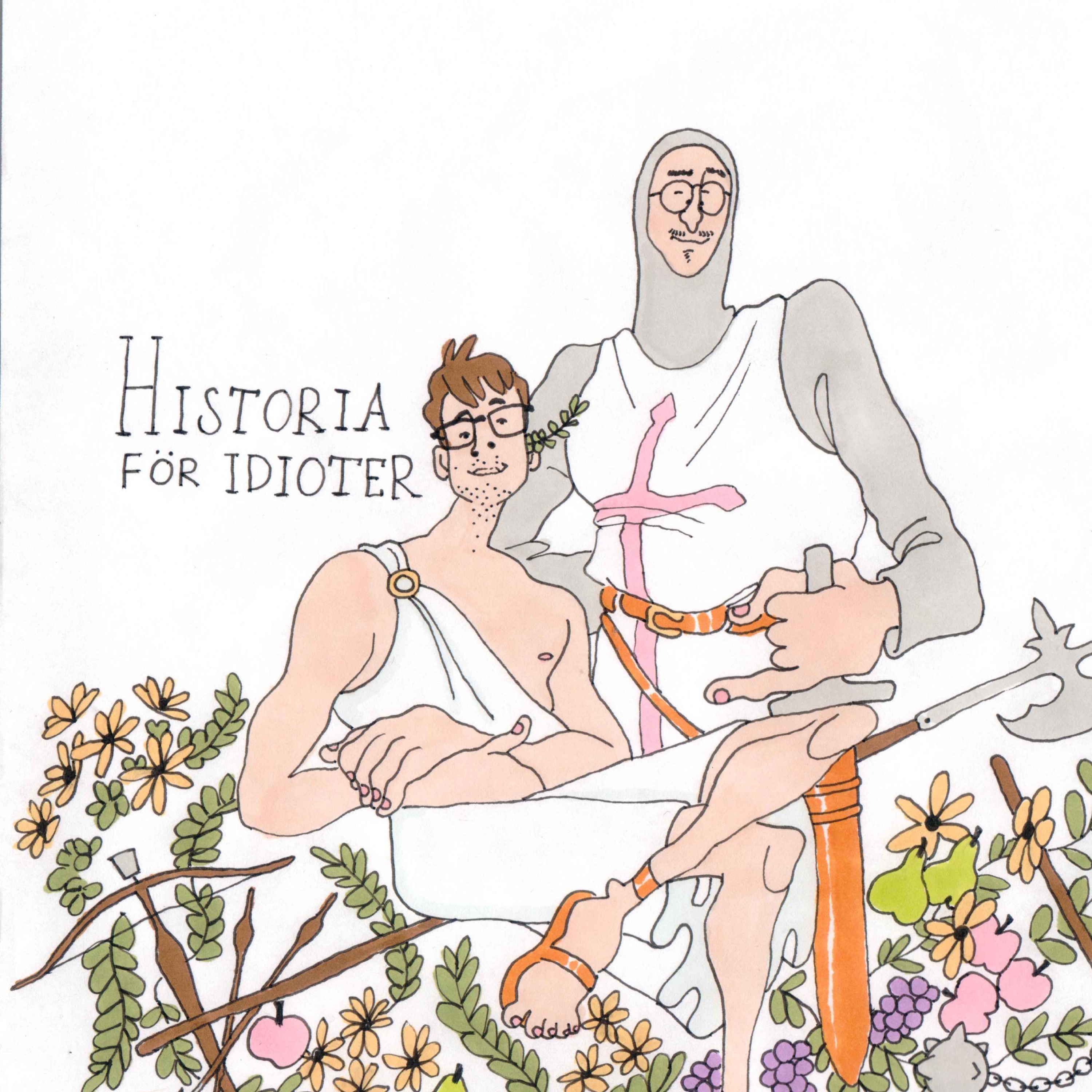 Historia för Idioter